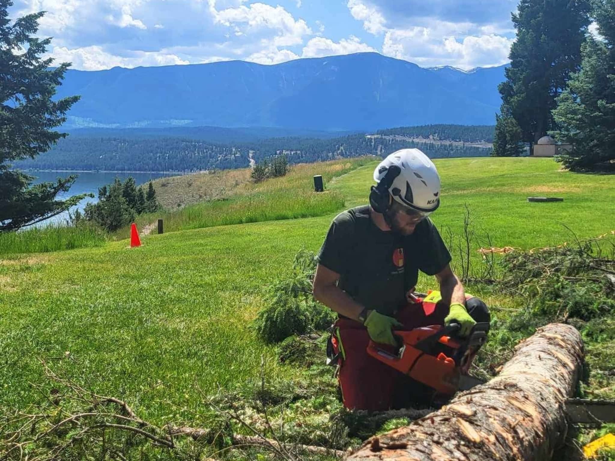 photo Hinni Tree Services