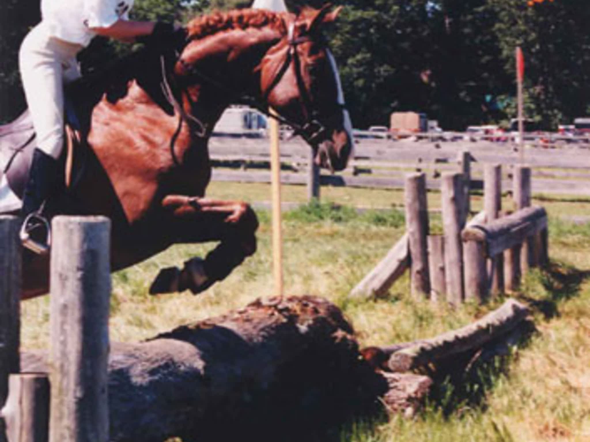 photo Reschburl Esquestrian Centre