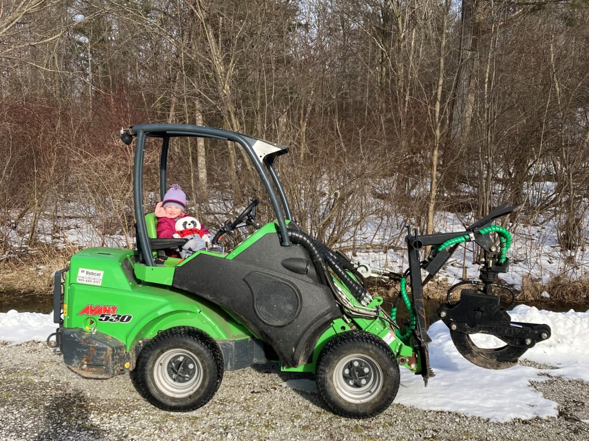 photo Stobbe's Tree Service