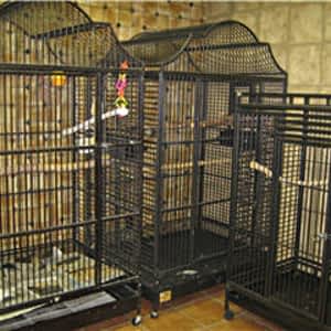 Hôpital Vétérinaire Pour Oiseaux Et Animaux Exotiques