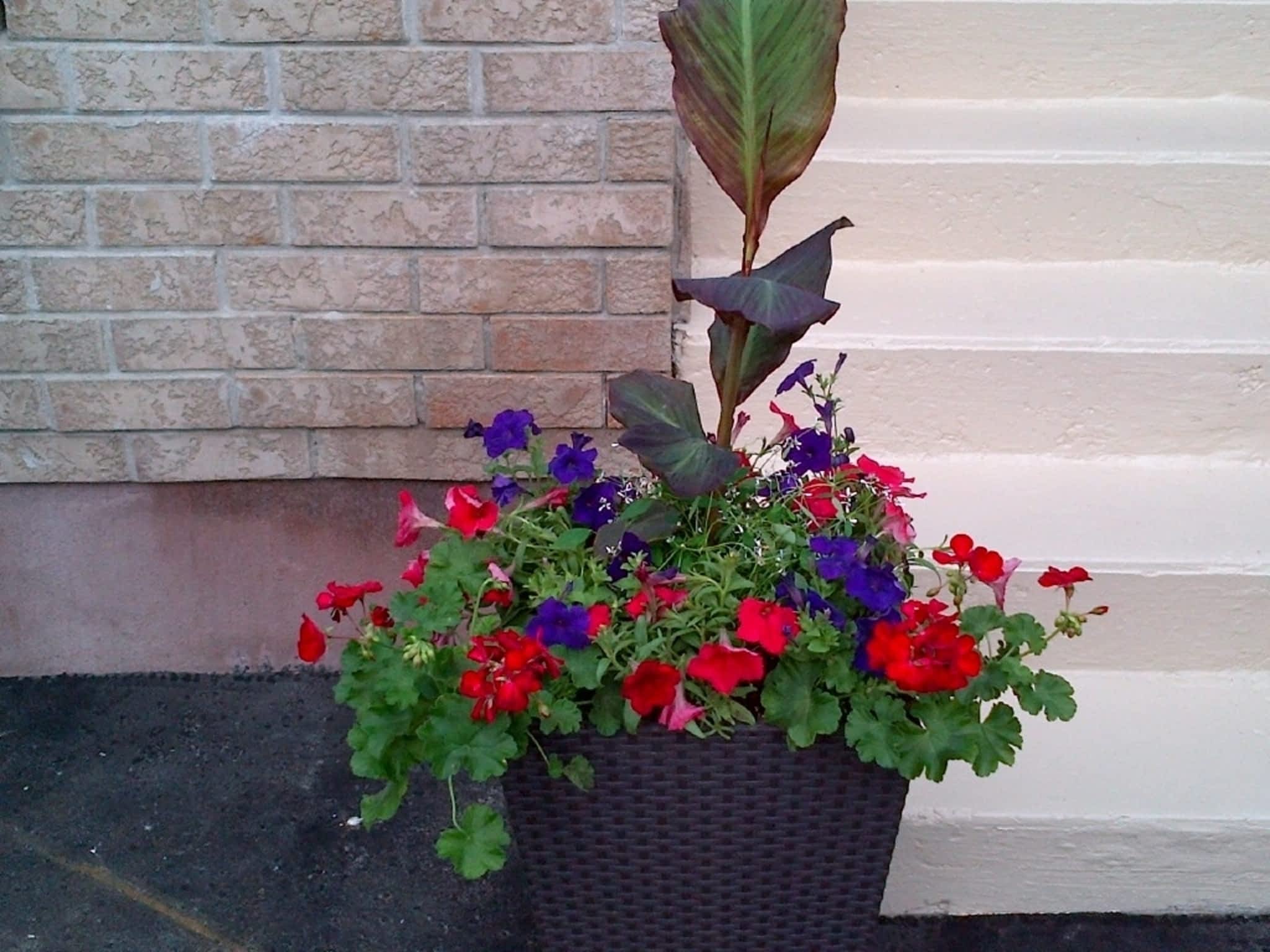 photo Markham Property Management