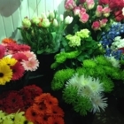 Flowers By Bill Bush - Florists & Flower Shops