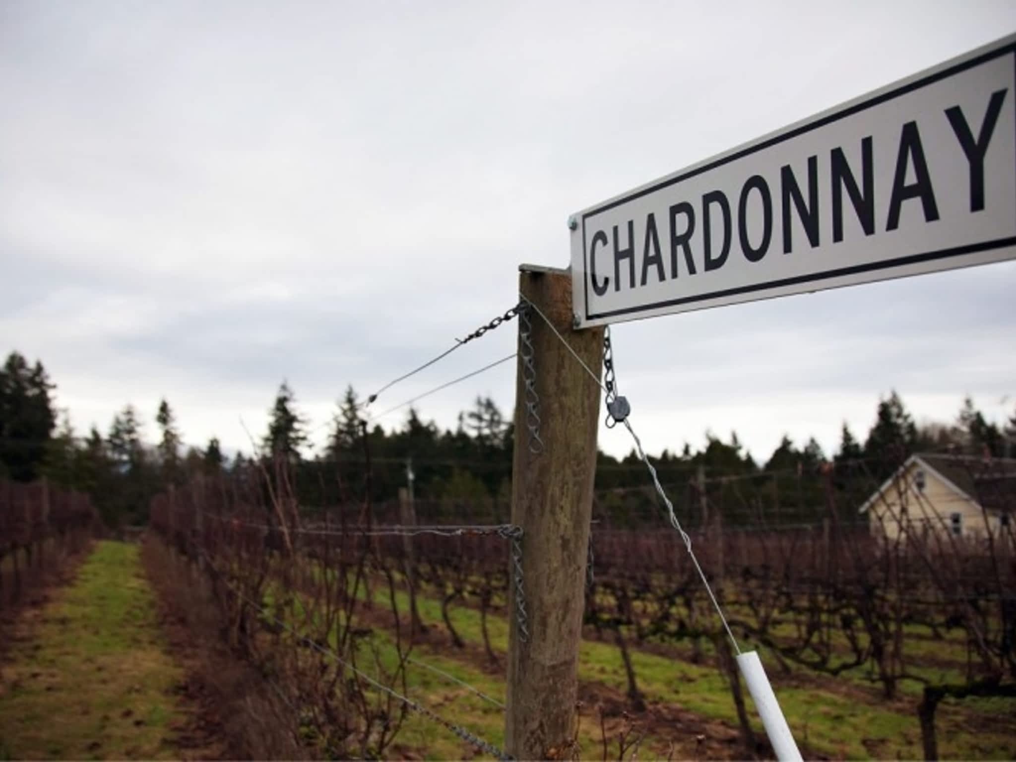 photo Township 7 Vineyards & Winery