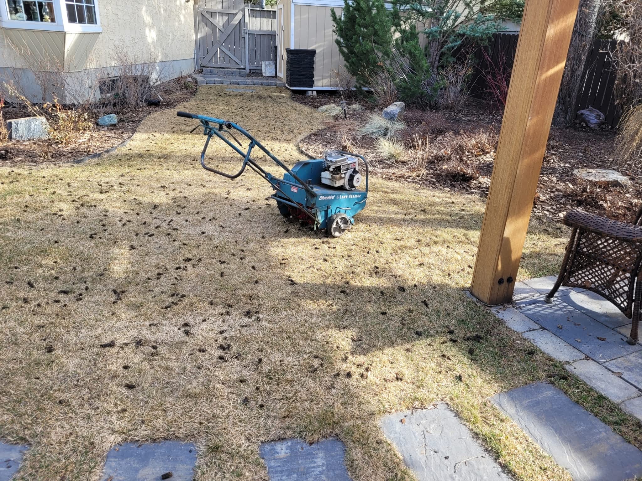 photo A Cut Above Lawn & Yard Services