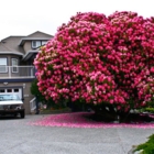 View Four Seasons Tree Care’s Port Perry profile