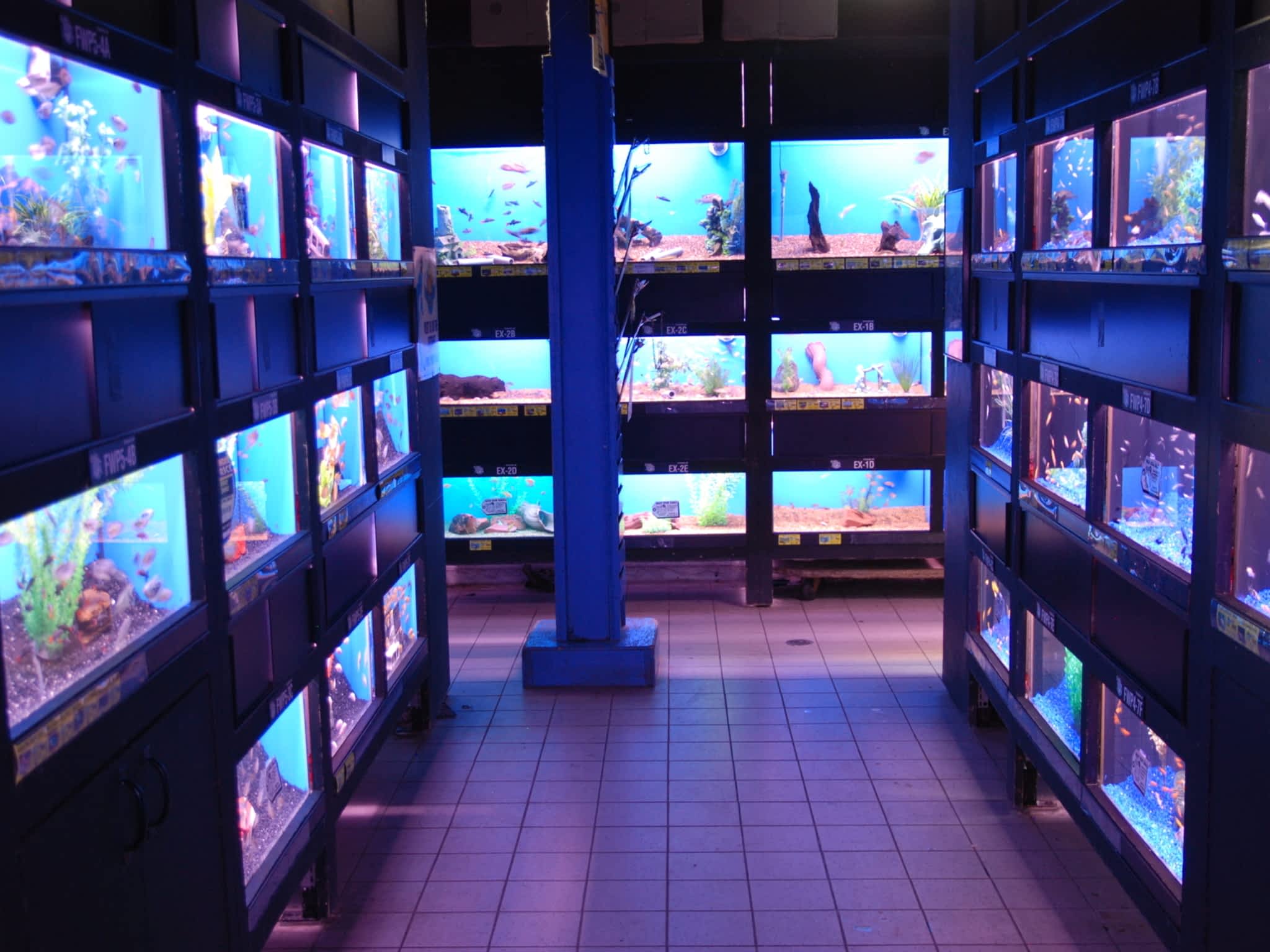 photo Big Al's Aquarium Supercentres