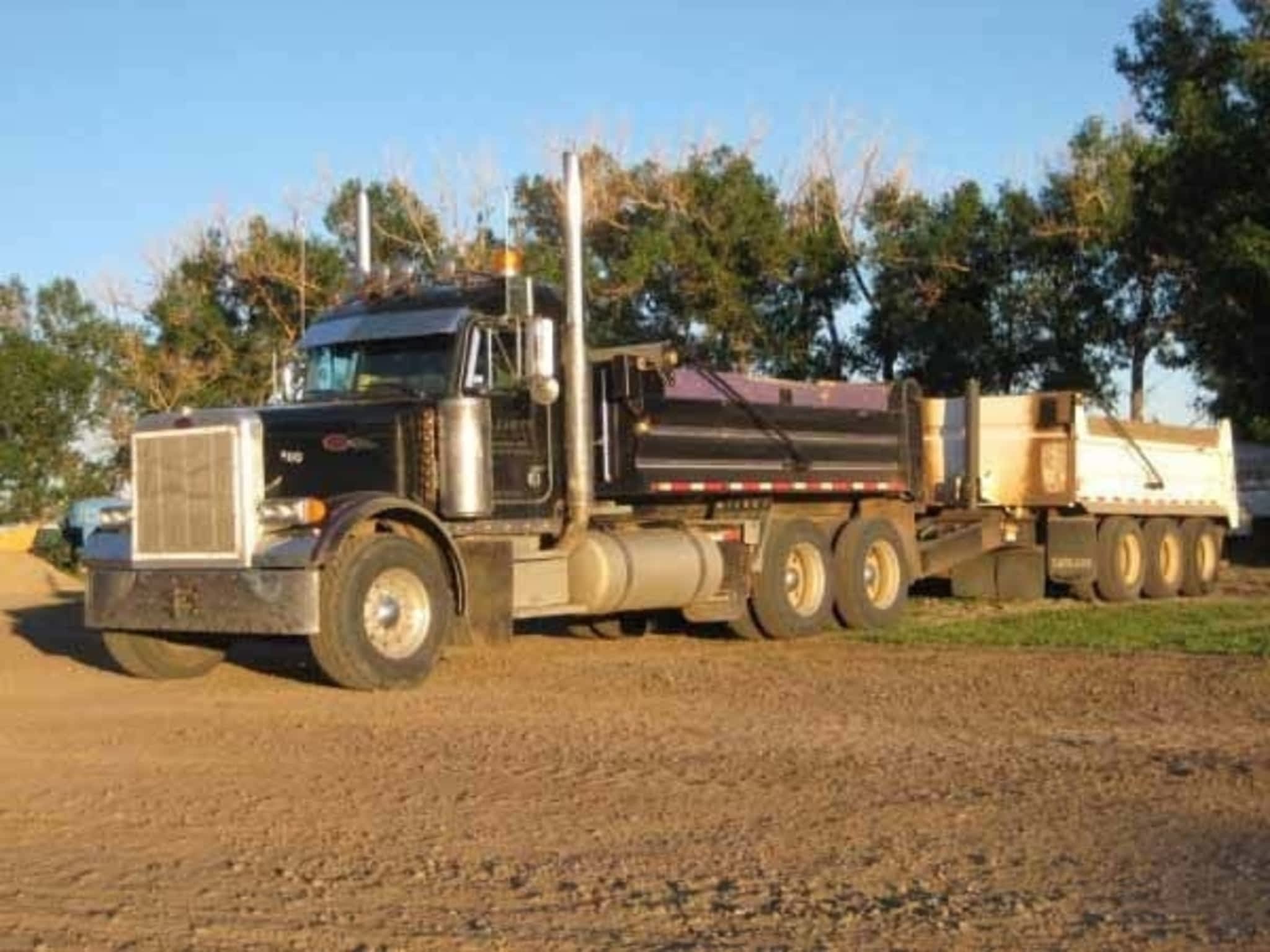 photo Elliott Cats Ltd