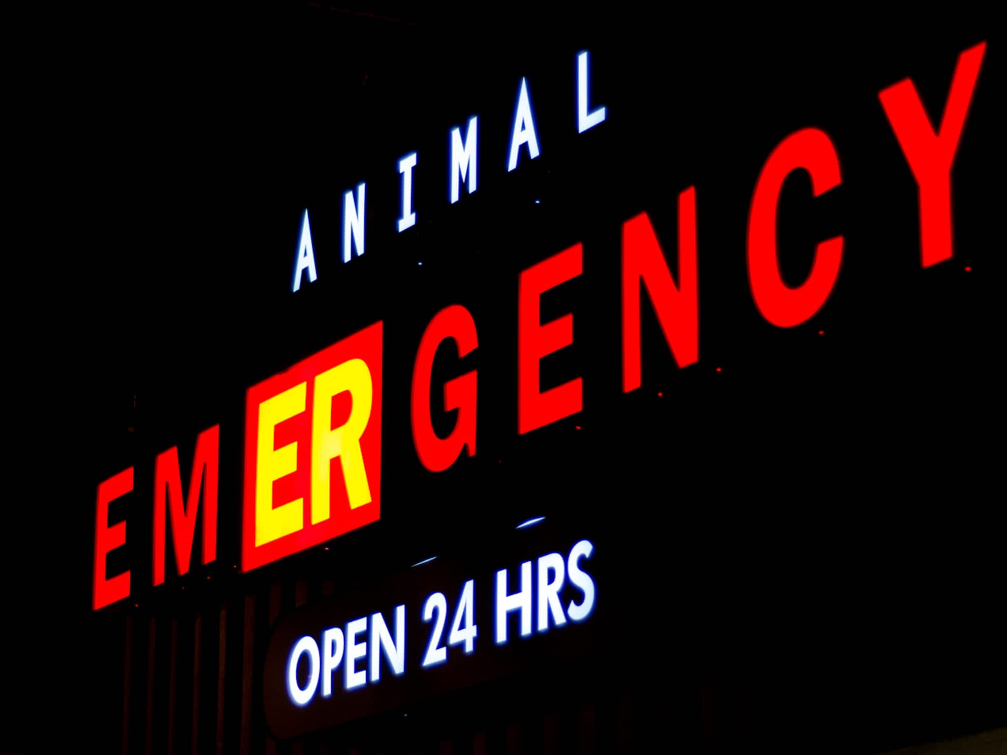 photo Vancouver Animal Emergency Clinic