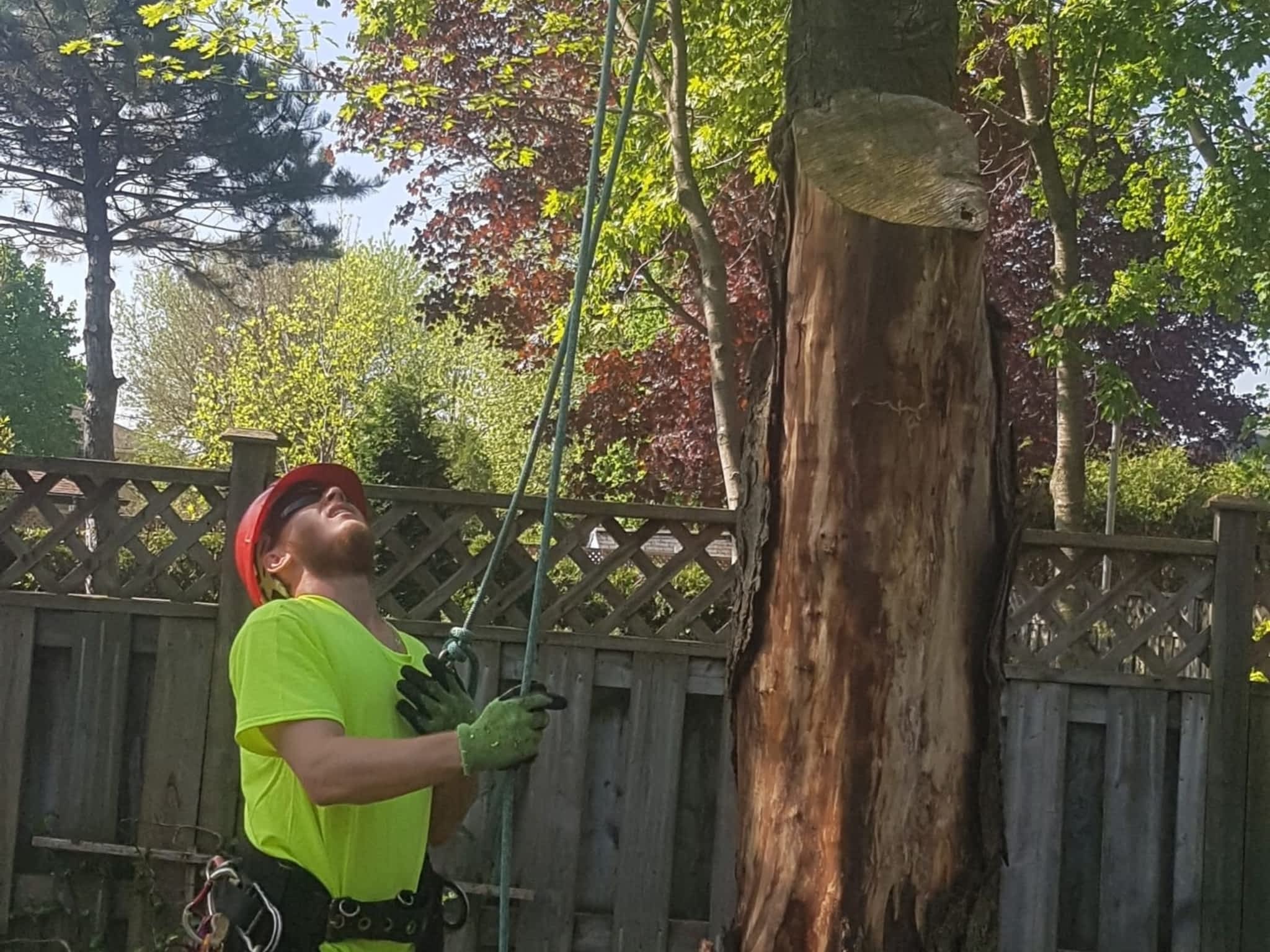 photo Wright's Tree Care