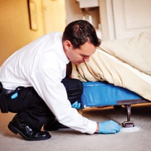 Abell Pest Control Opening Hours 36b Centennial Rd Kitchener On