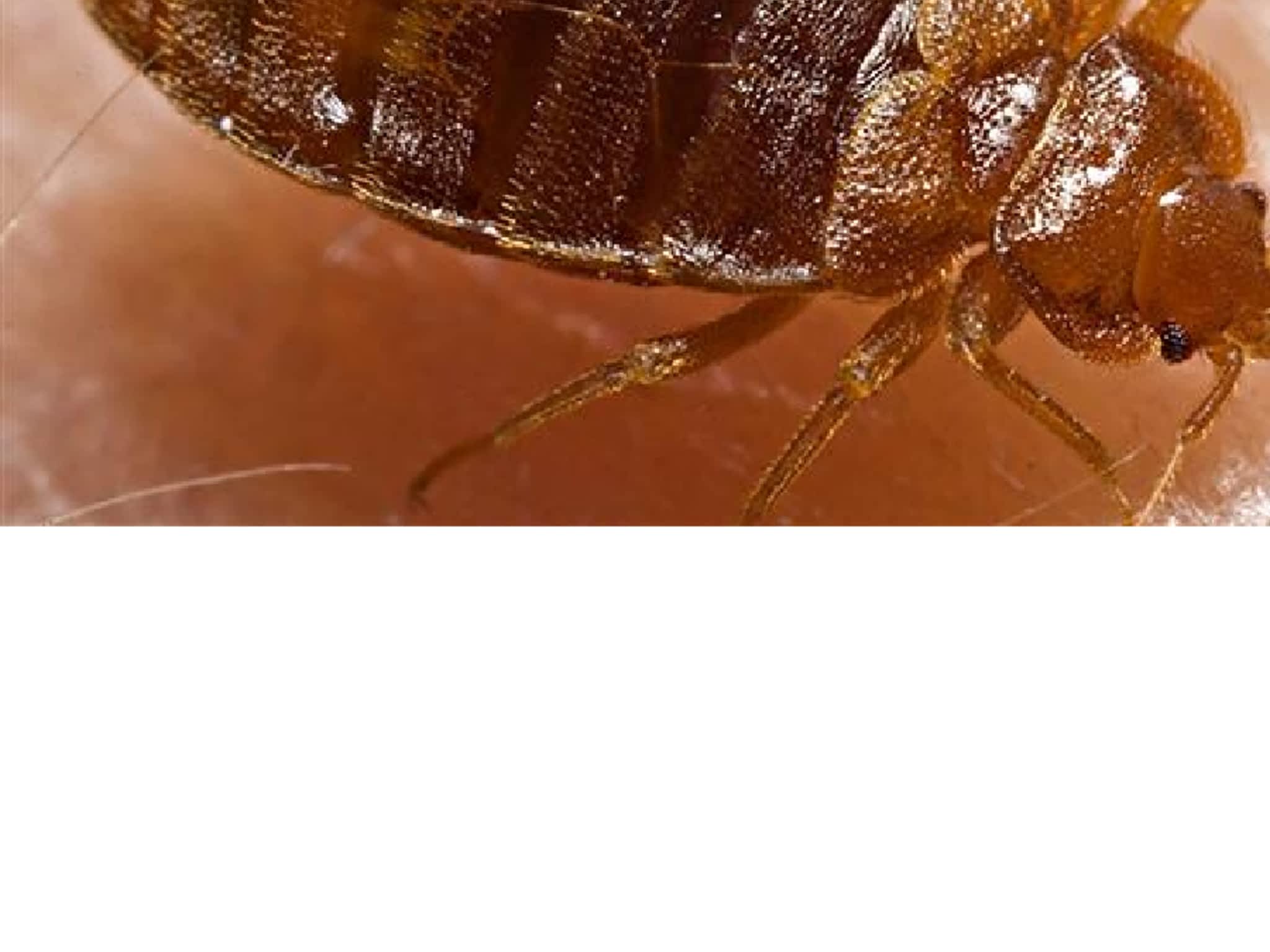 photo Groupe LM Extermination