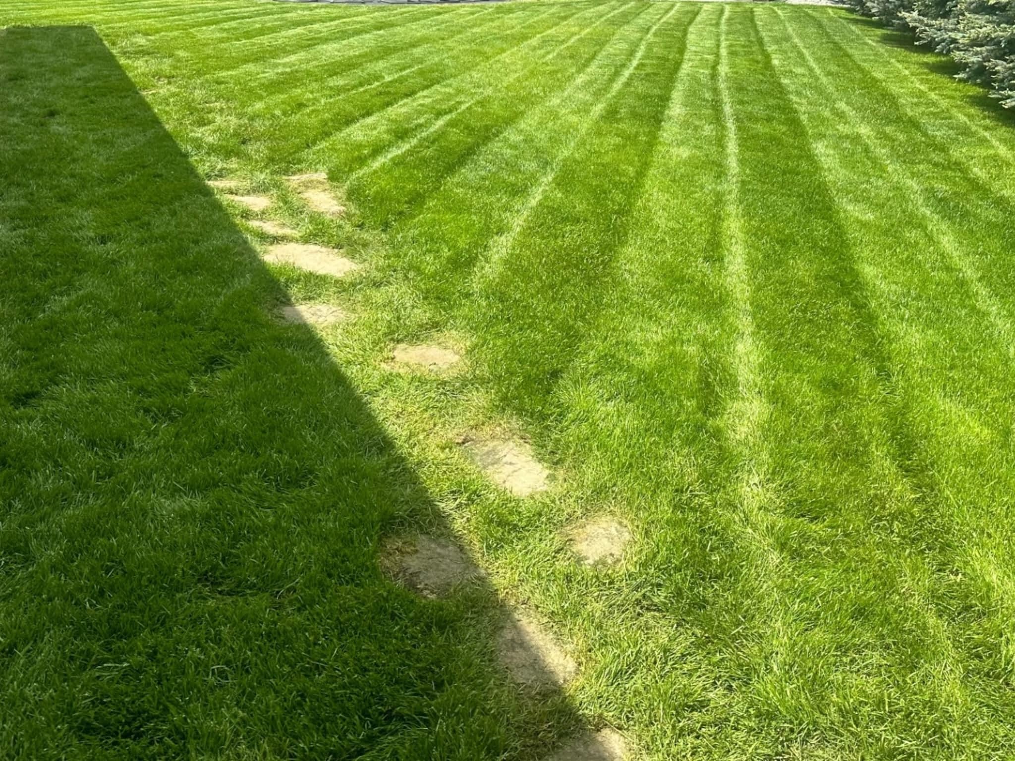 photo S.V.S. Services