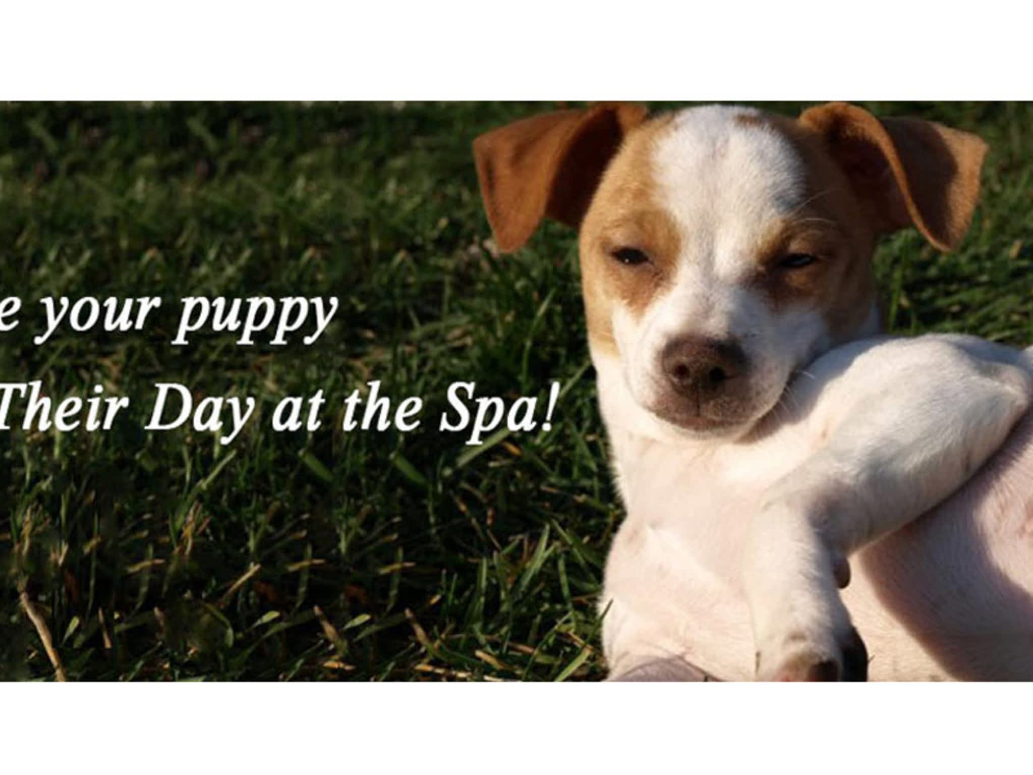 Kim's Pet Grooming Saskatoon, SK A2410 Richardson Rd Canpages