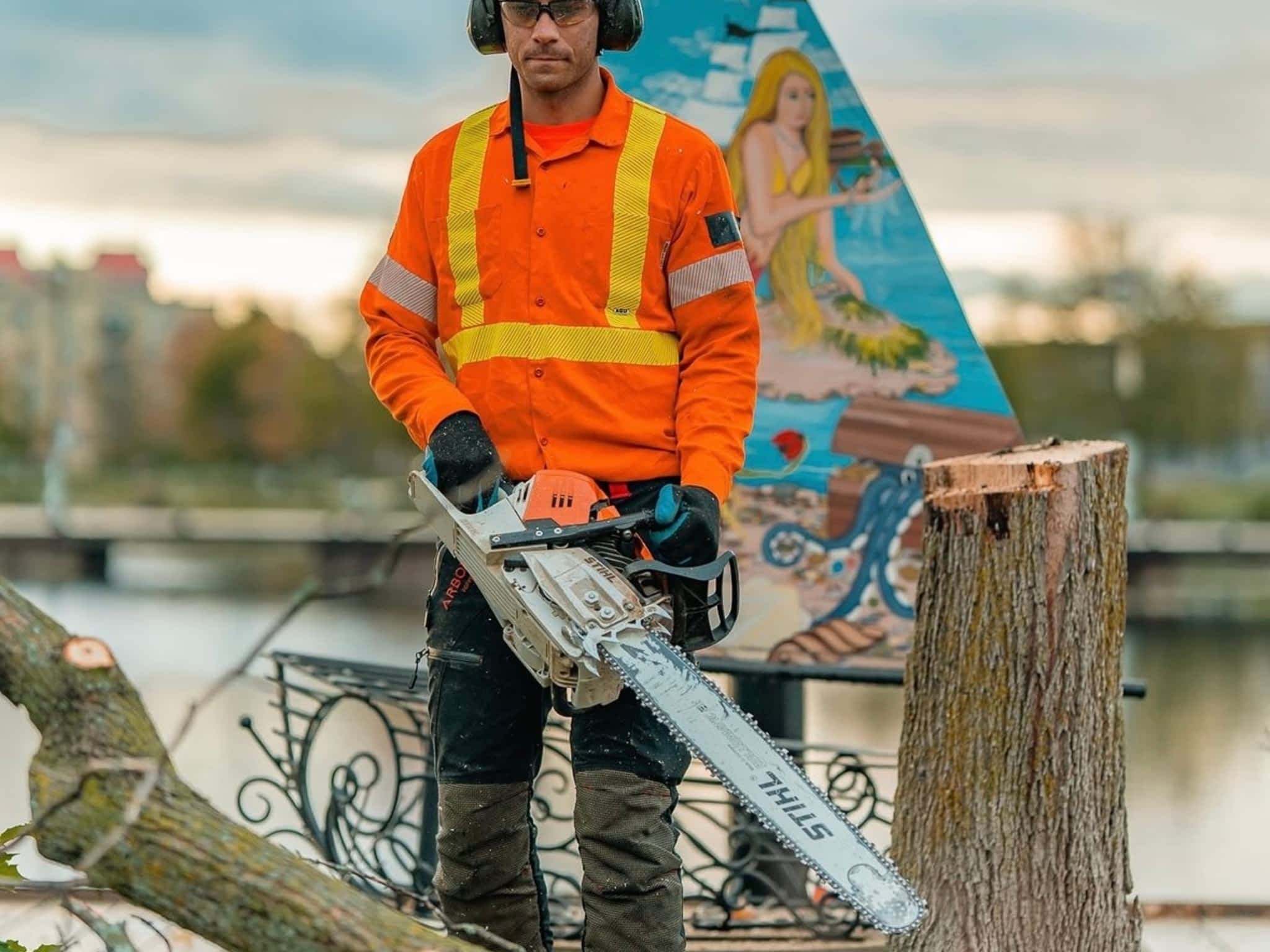 photo Twigs & Trunks