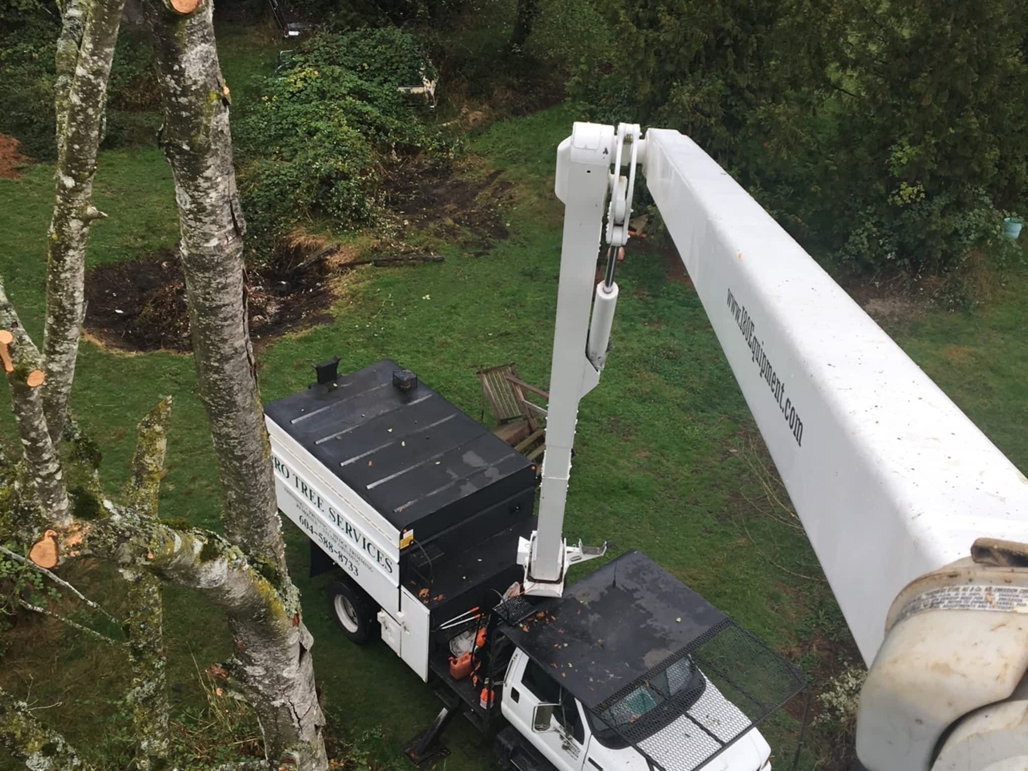 photo Pro Tree Services