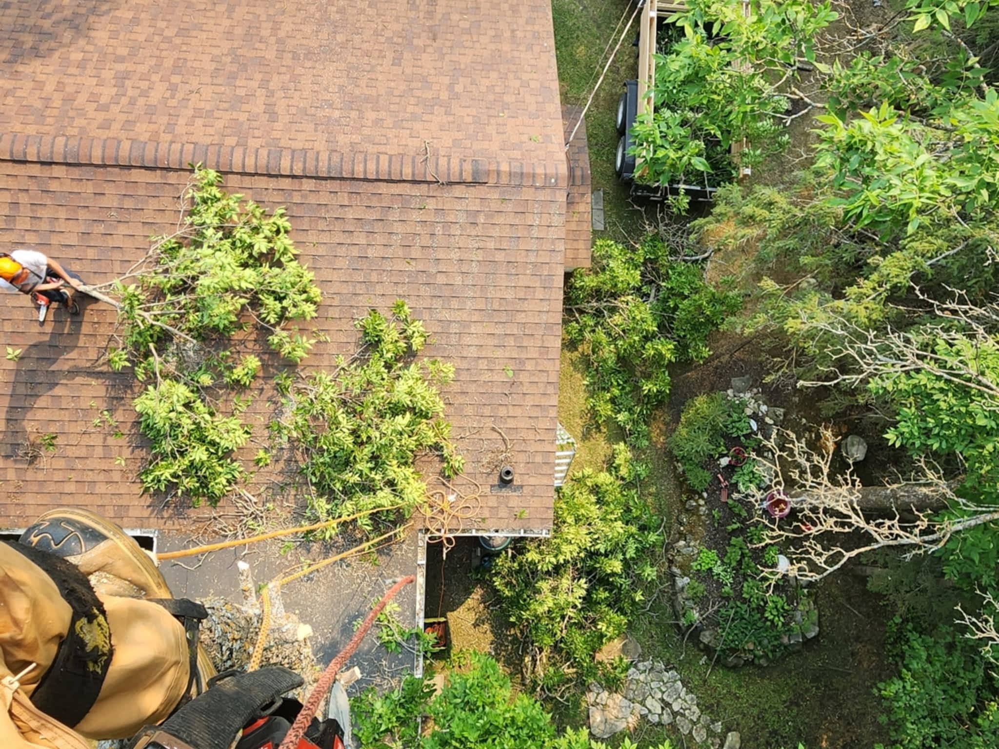 photo John's Tree Service