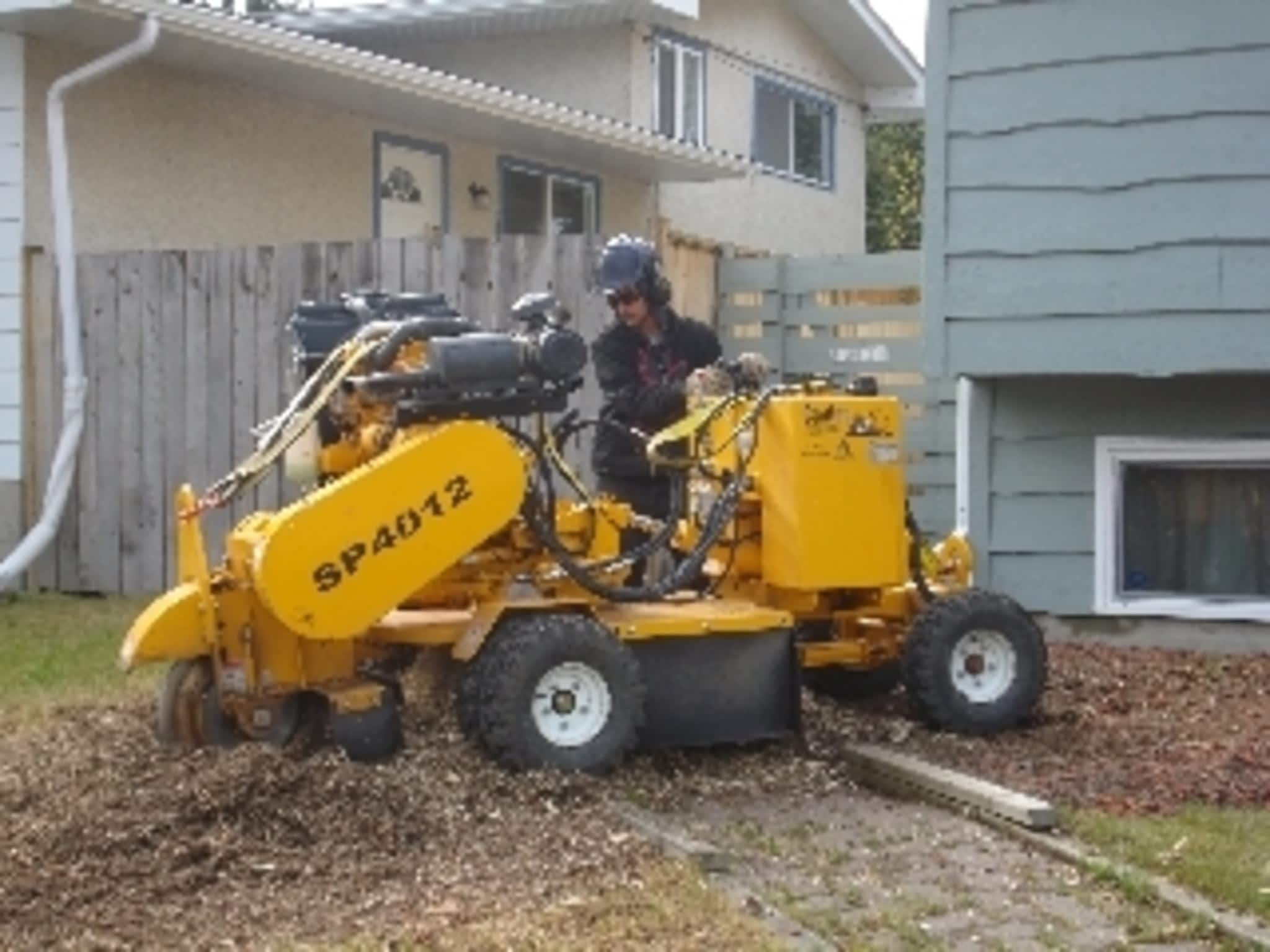 photo ArborCare Tree Service