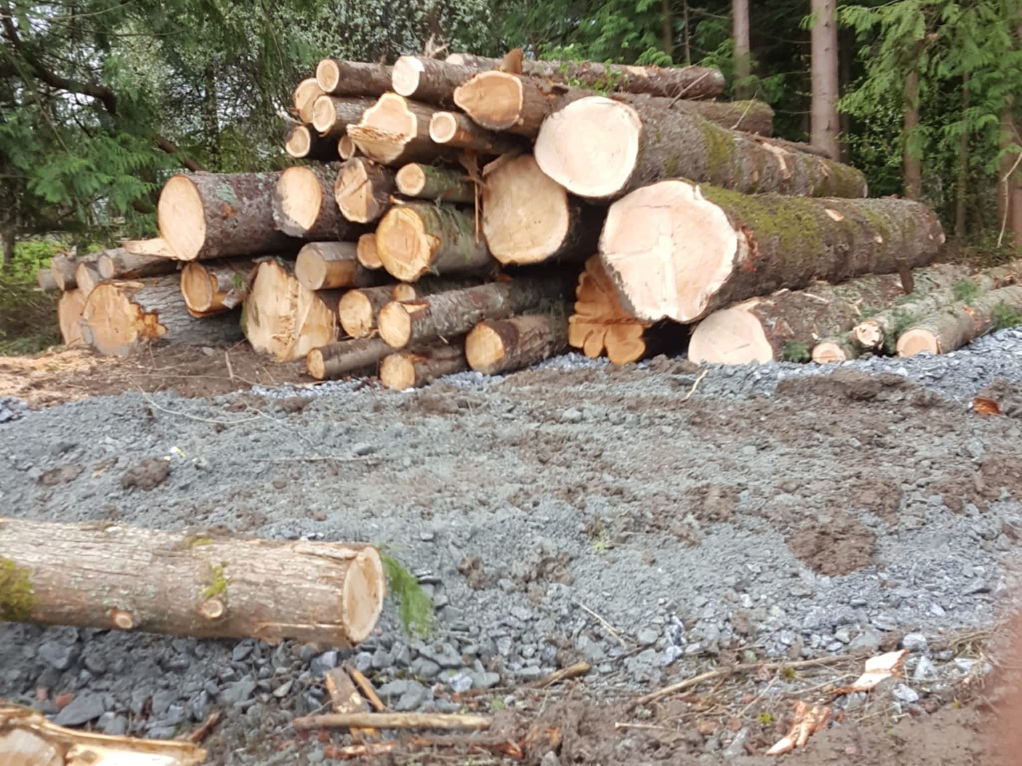 photo Ridge Meadows Tree Service LTD 2.0