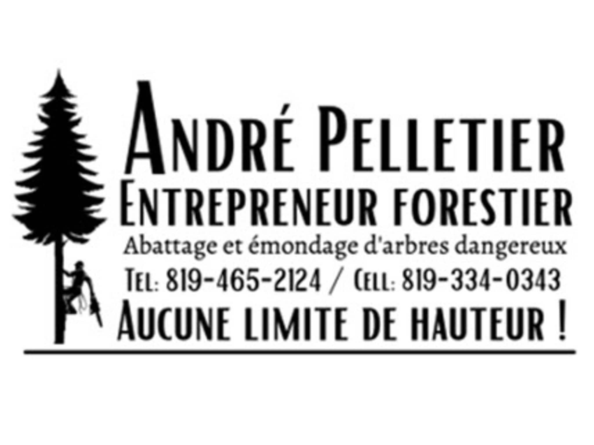 photo André Pelletier Entrepreneur Forestier