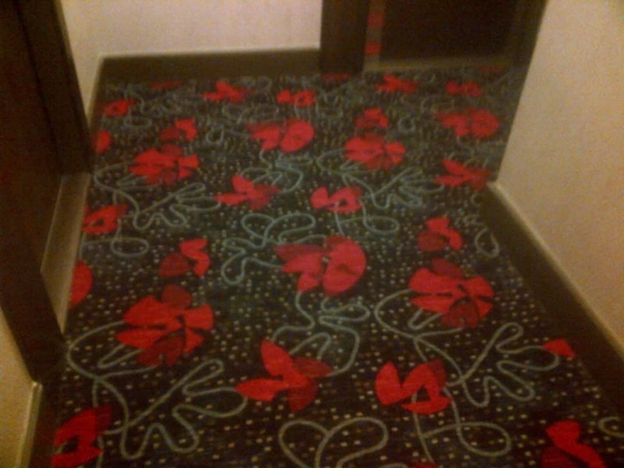 photo Dragonara Carpet & Flooring Sales & Installation s
