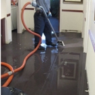 D S Professional Carpet Cleaners - Carpet & Rug Cleaning