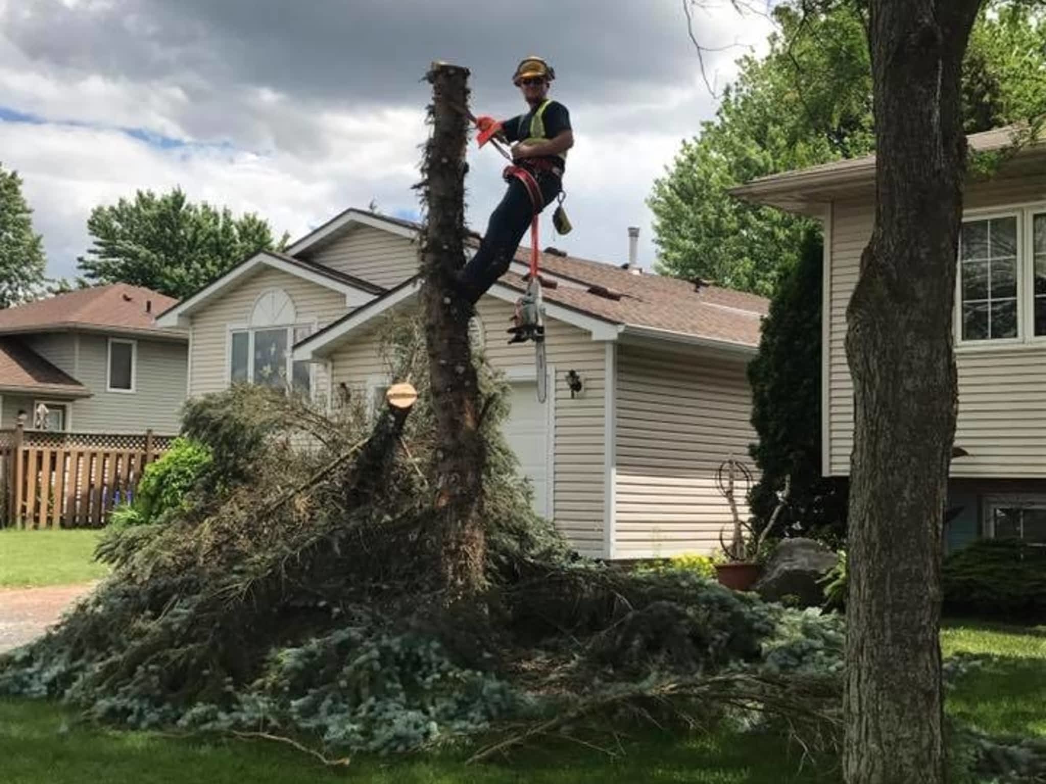 photo Redneck Tree Removal