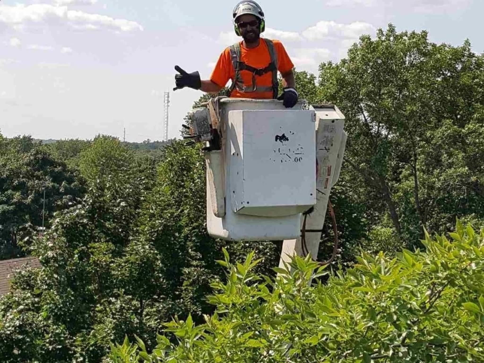 photo Colonial Tree Service