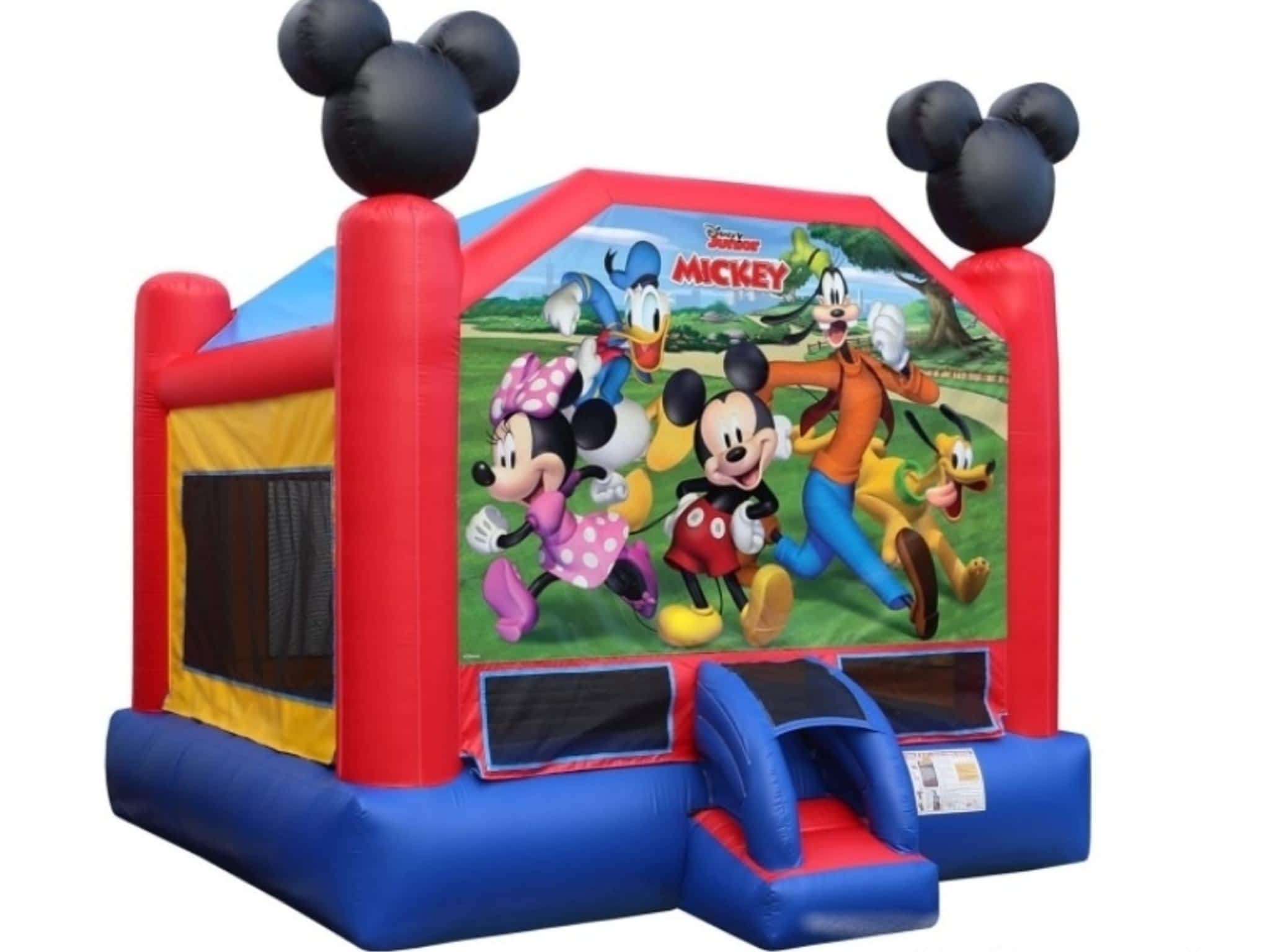 photo Inflatable Bouncy Castles