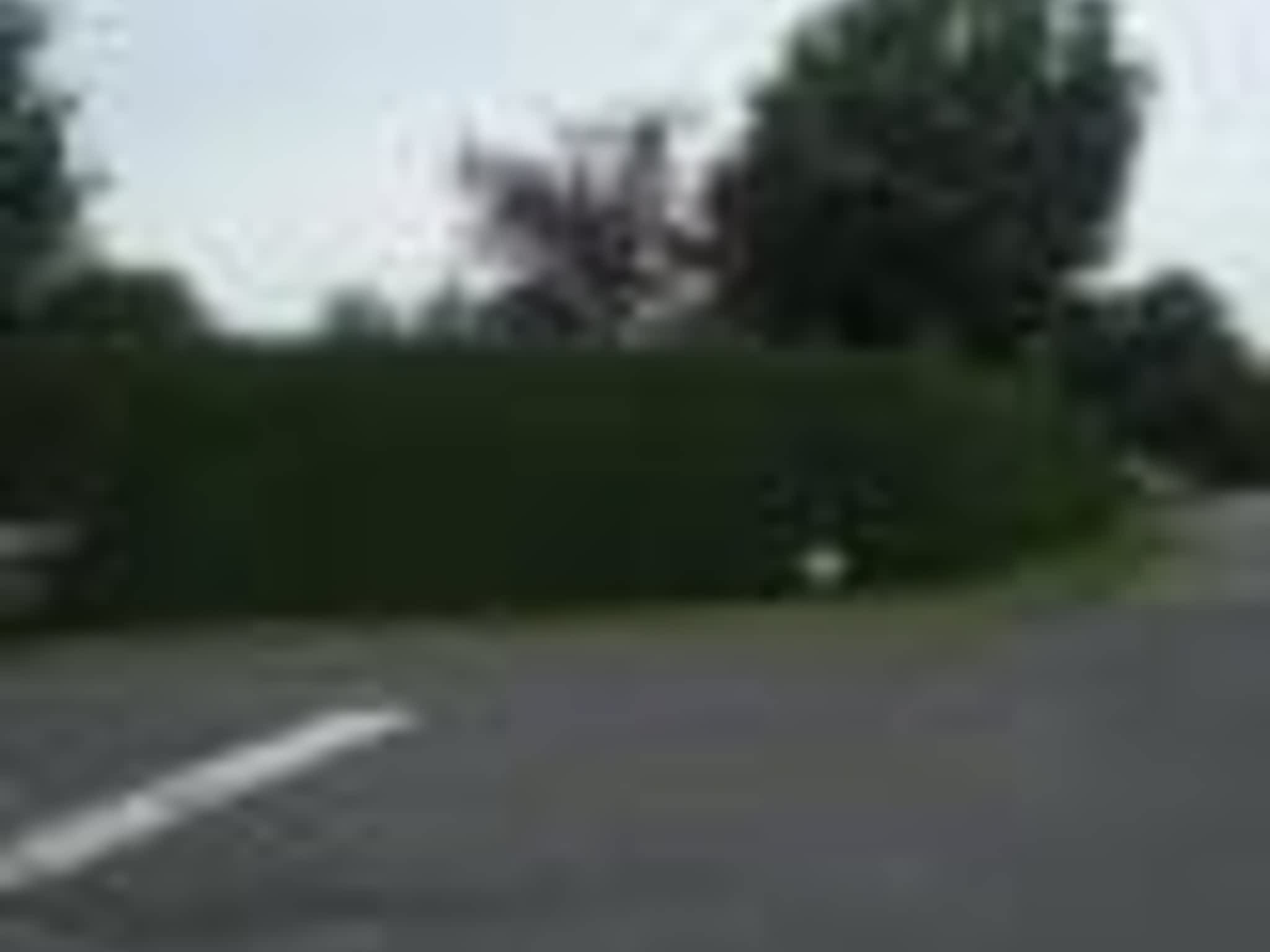 photo Taillage Compétitif CB