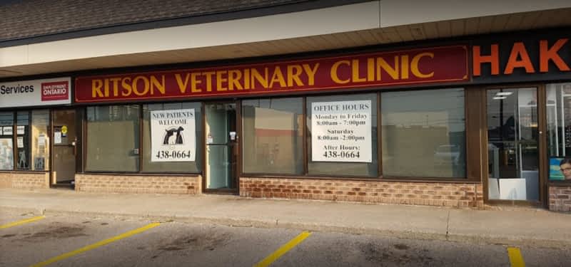 Ritson hot sale veterinary clinic