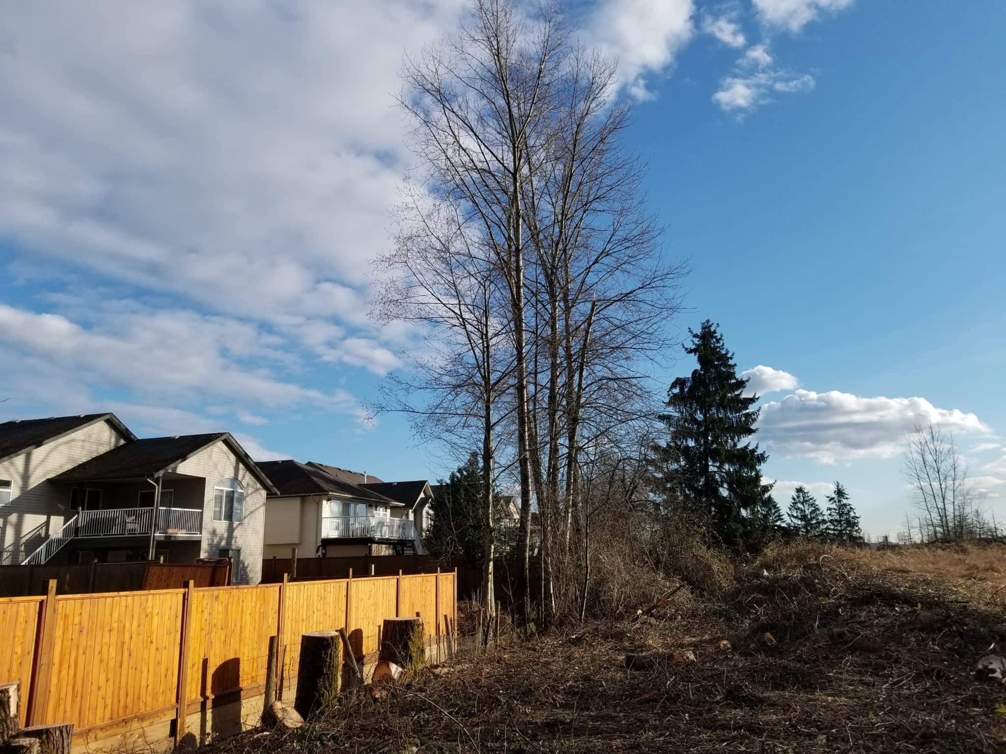 photo Ridge Meadows Tree Service LTD 2.0