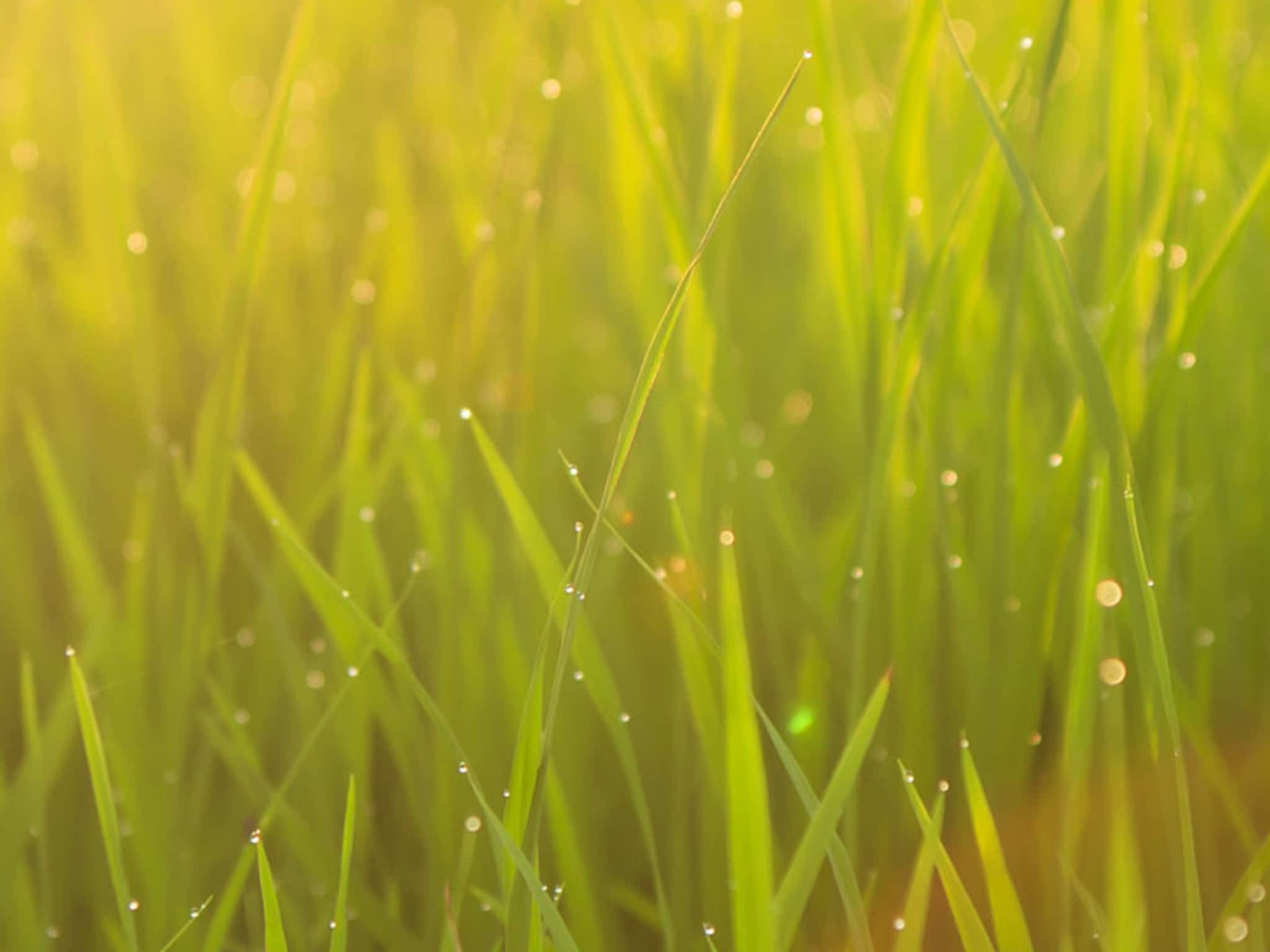 photo New Concept Design - Web Design & Print Studio