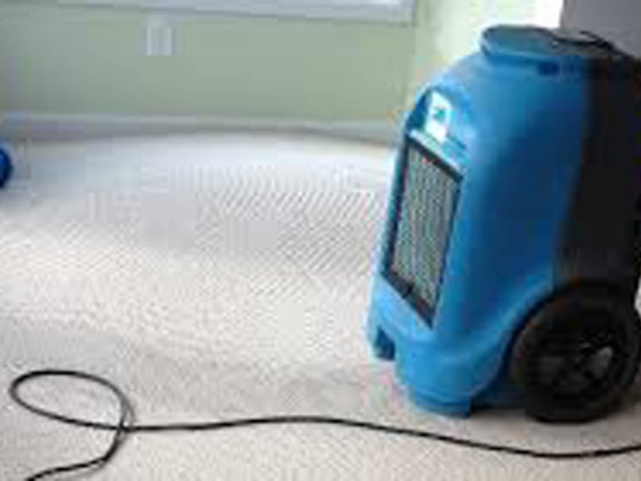 photo 1 Touch Carpet Care