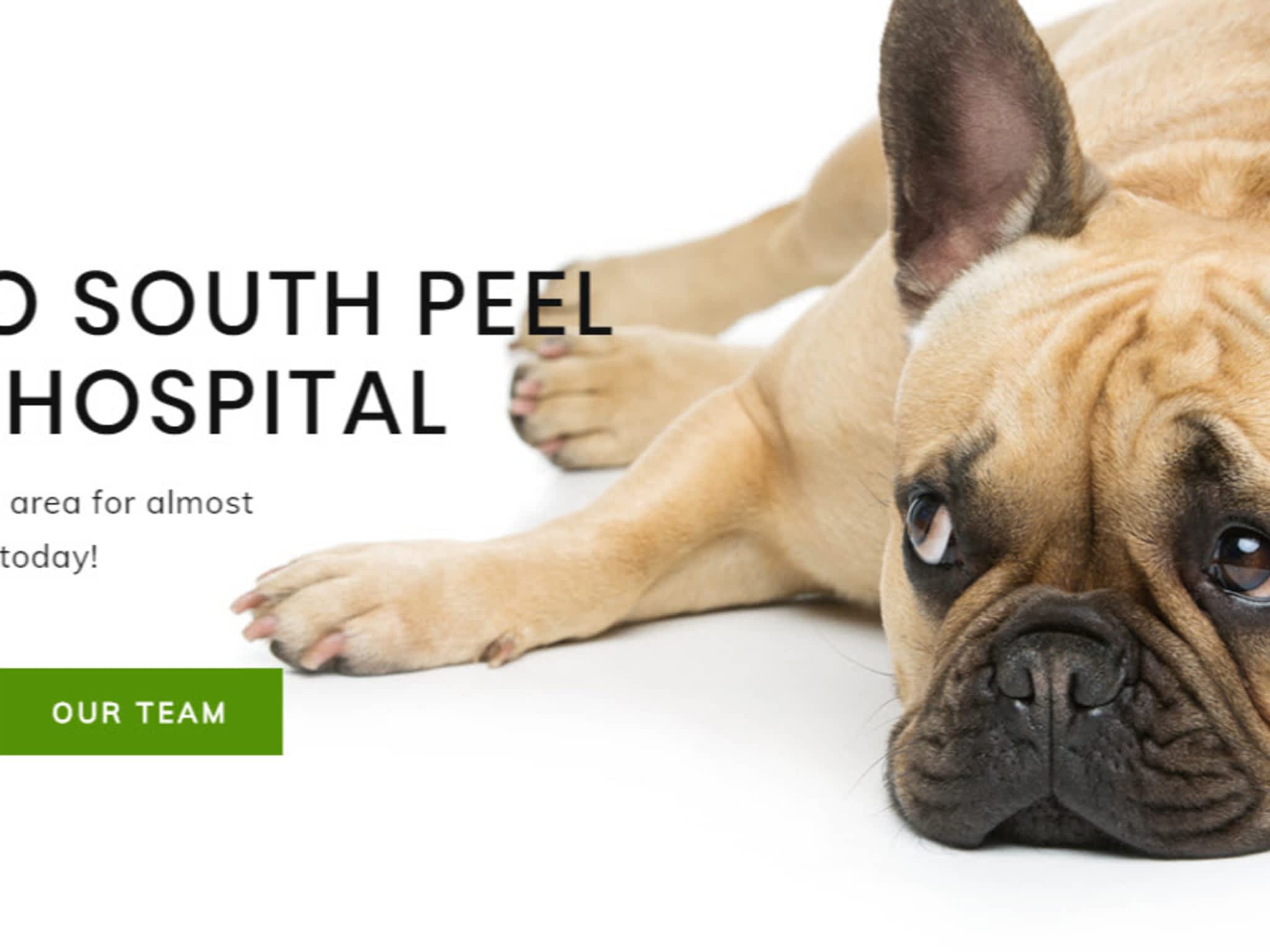 photo South Peel Veterinary Hospital