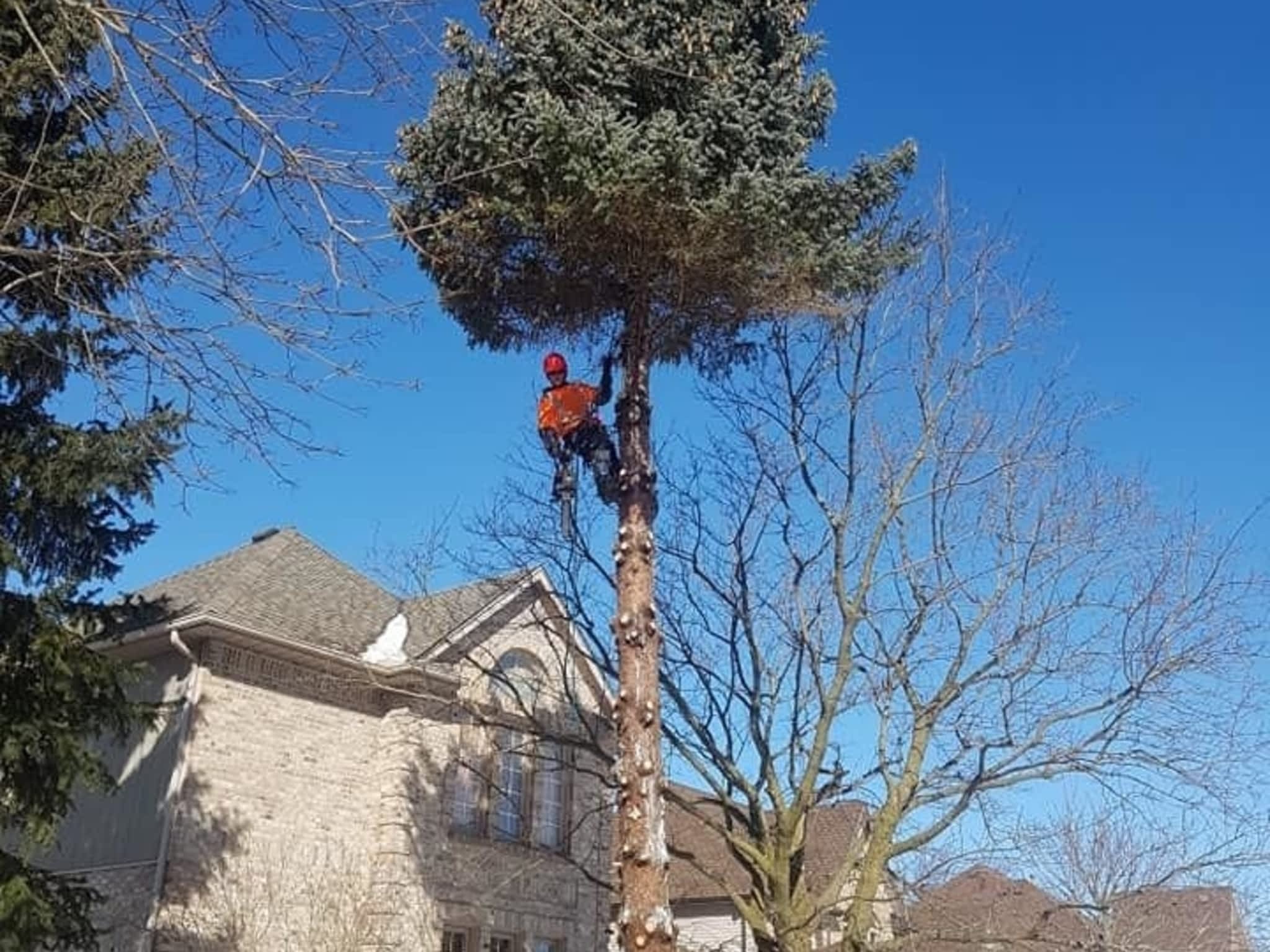 photo Wright's Tree Care