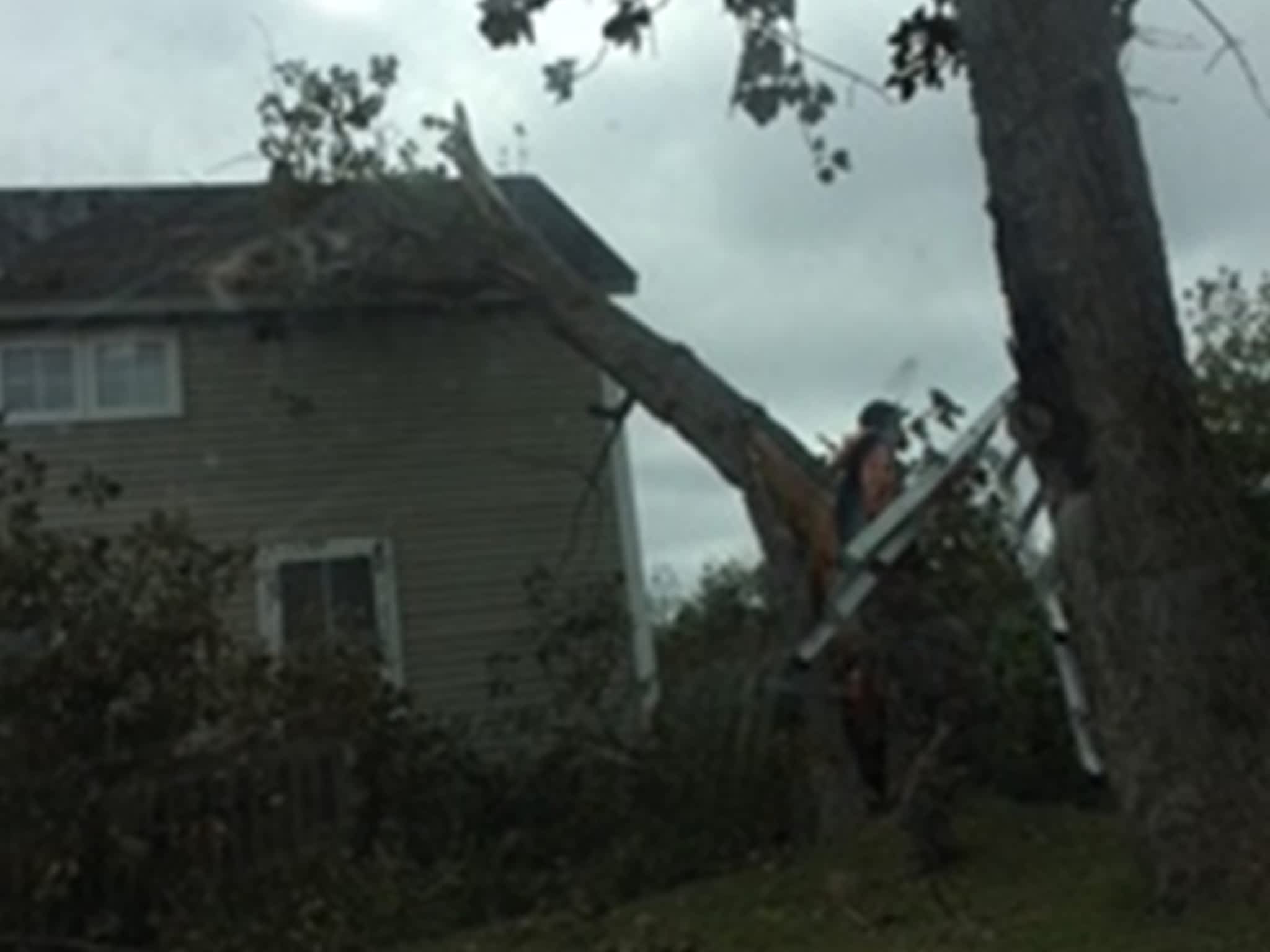 photo Linthorne Contracting