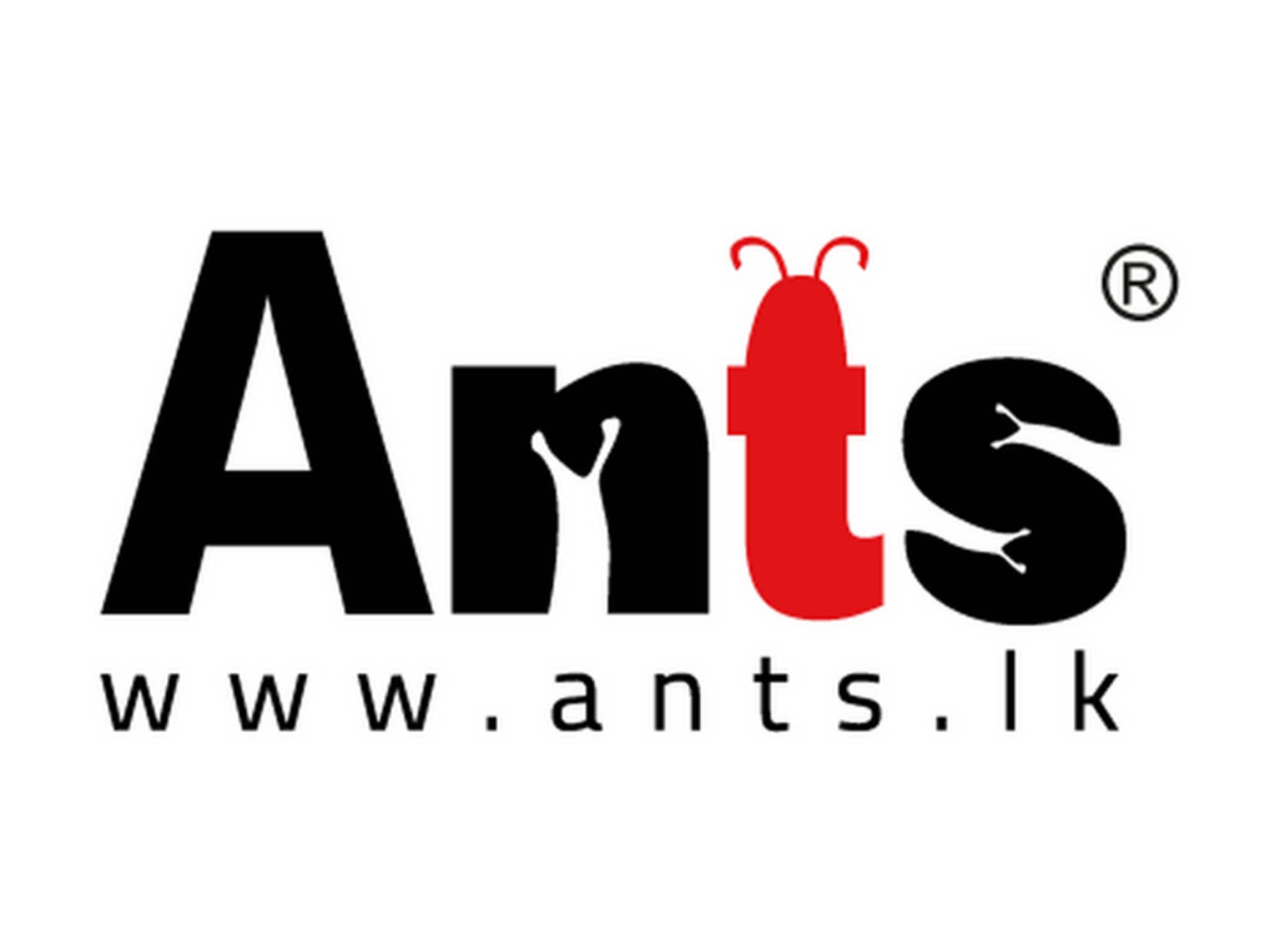 photo Ants Creation (Pvt) Ltd