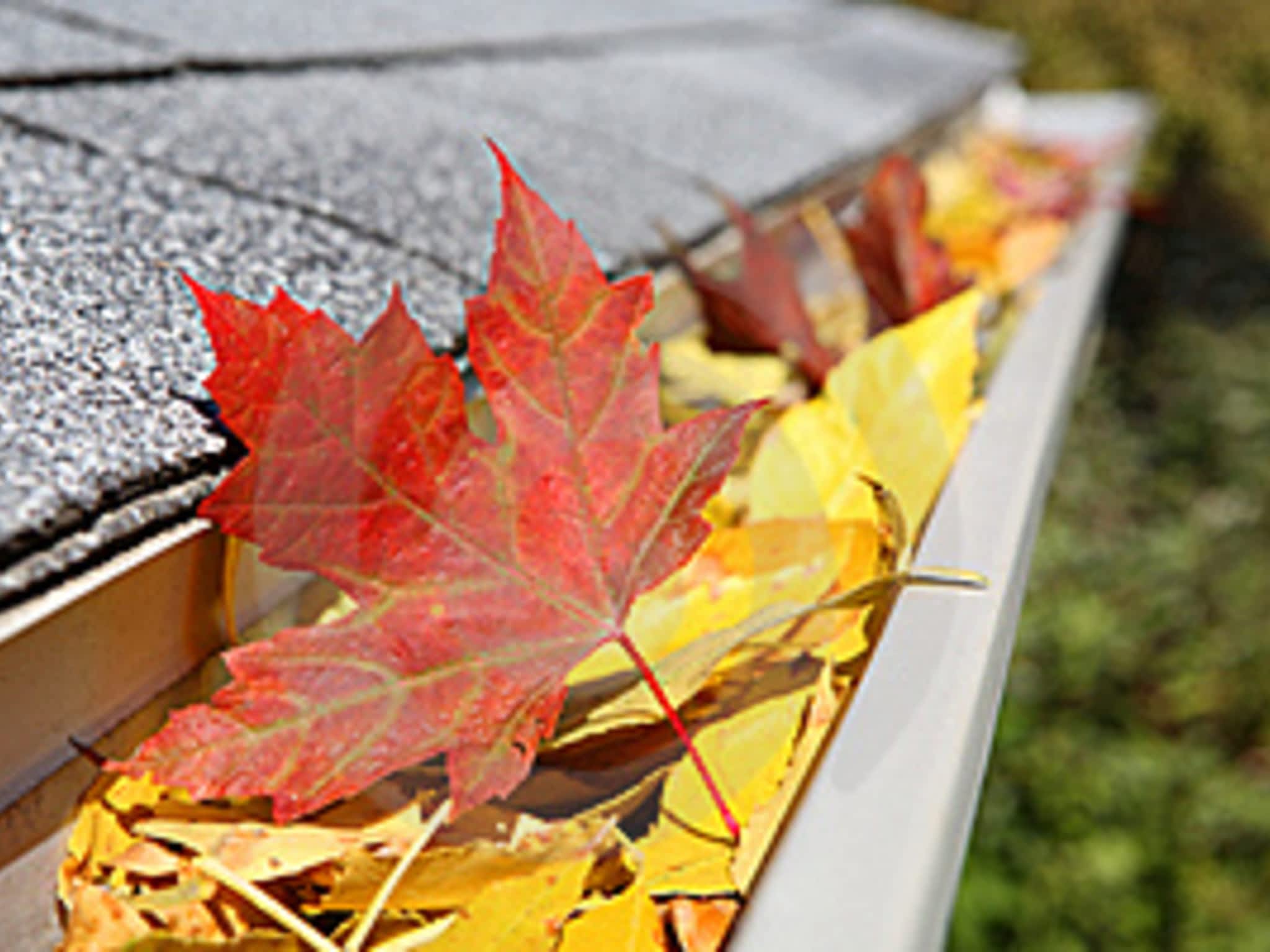photo Transcona Window Cleaning