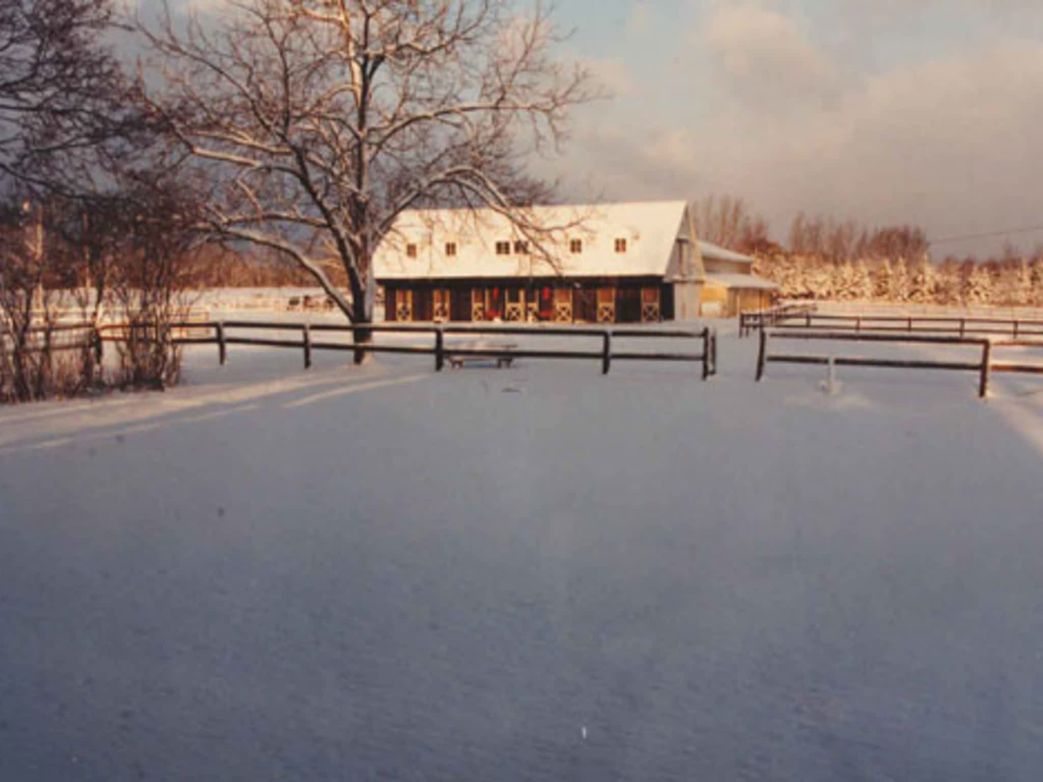 photo Reschburl Esquestrian Centre