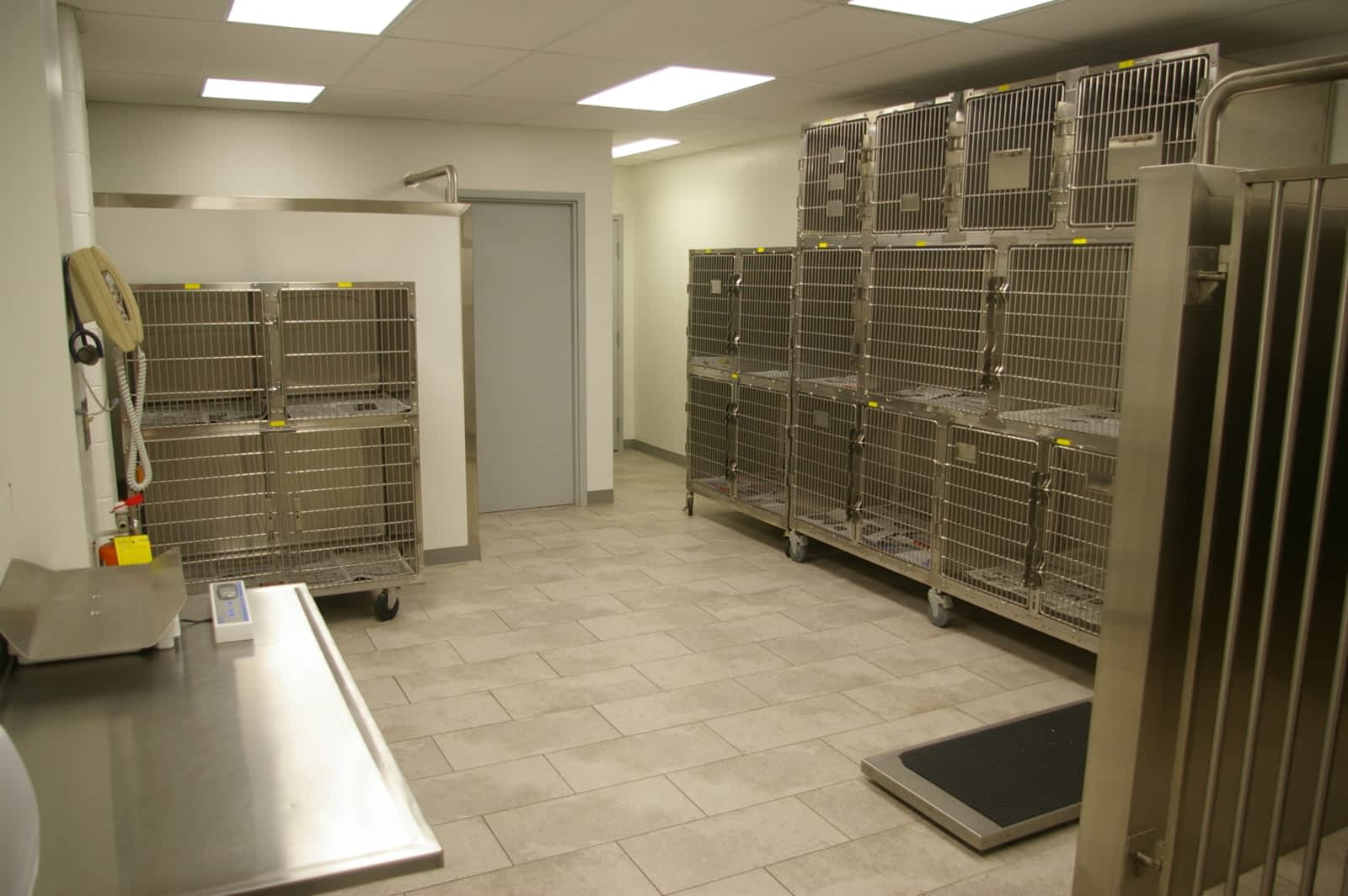 original spay clinic