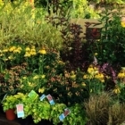 À La Jardinière Ste Agathe - Garden Centres