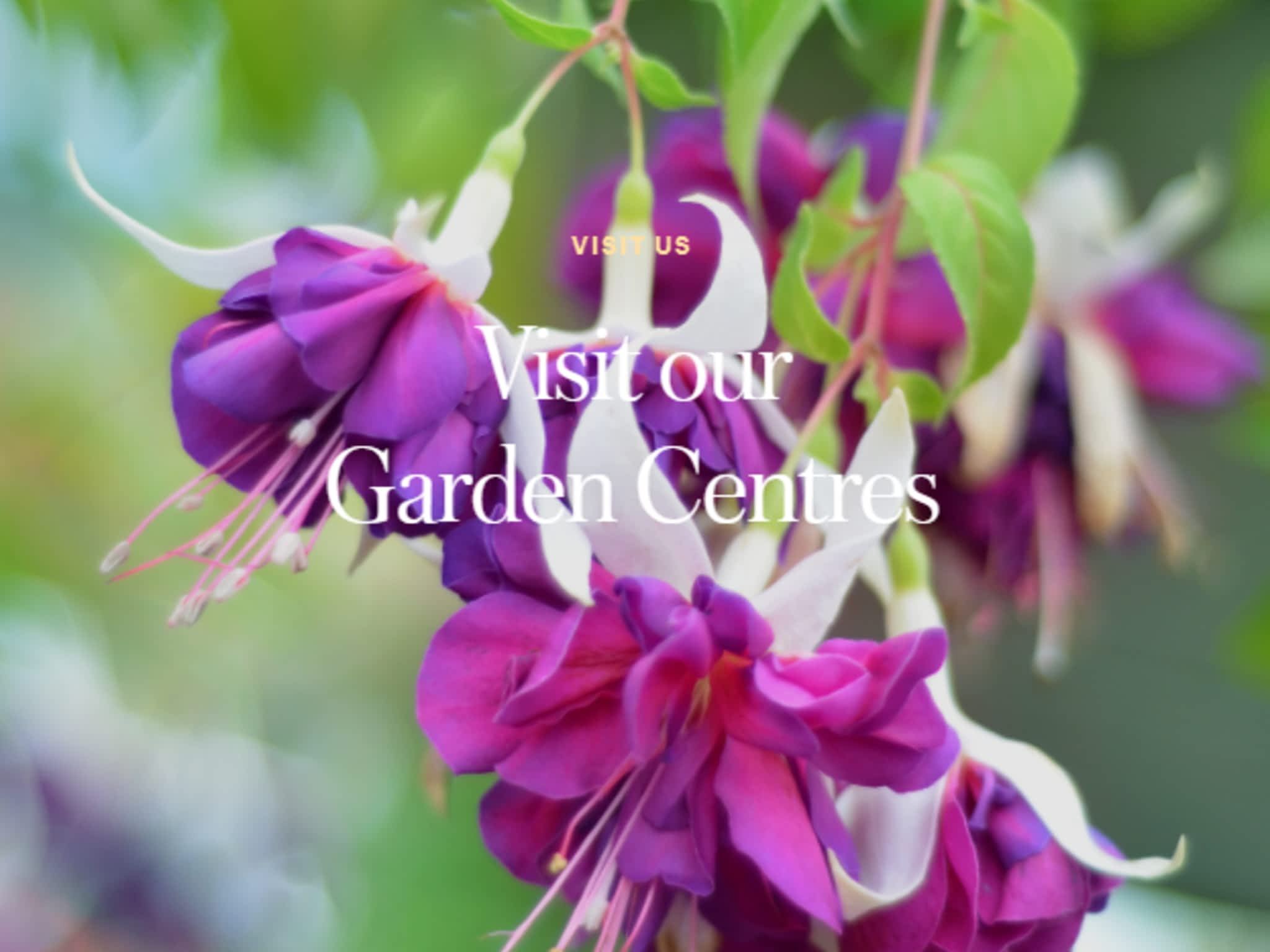 photo Windermere Garden Centre