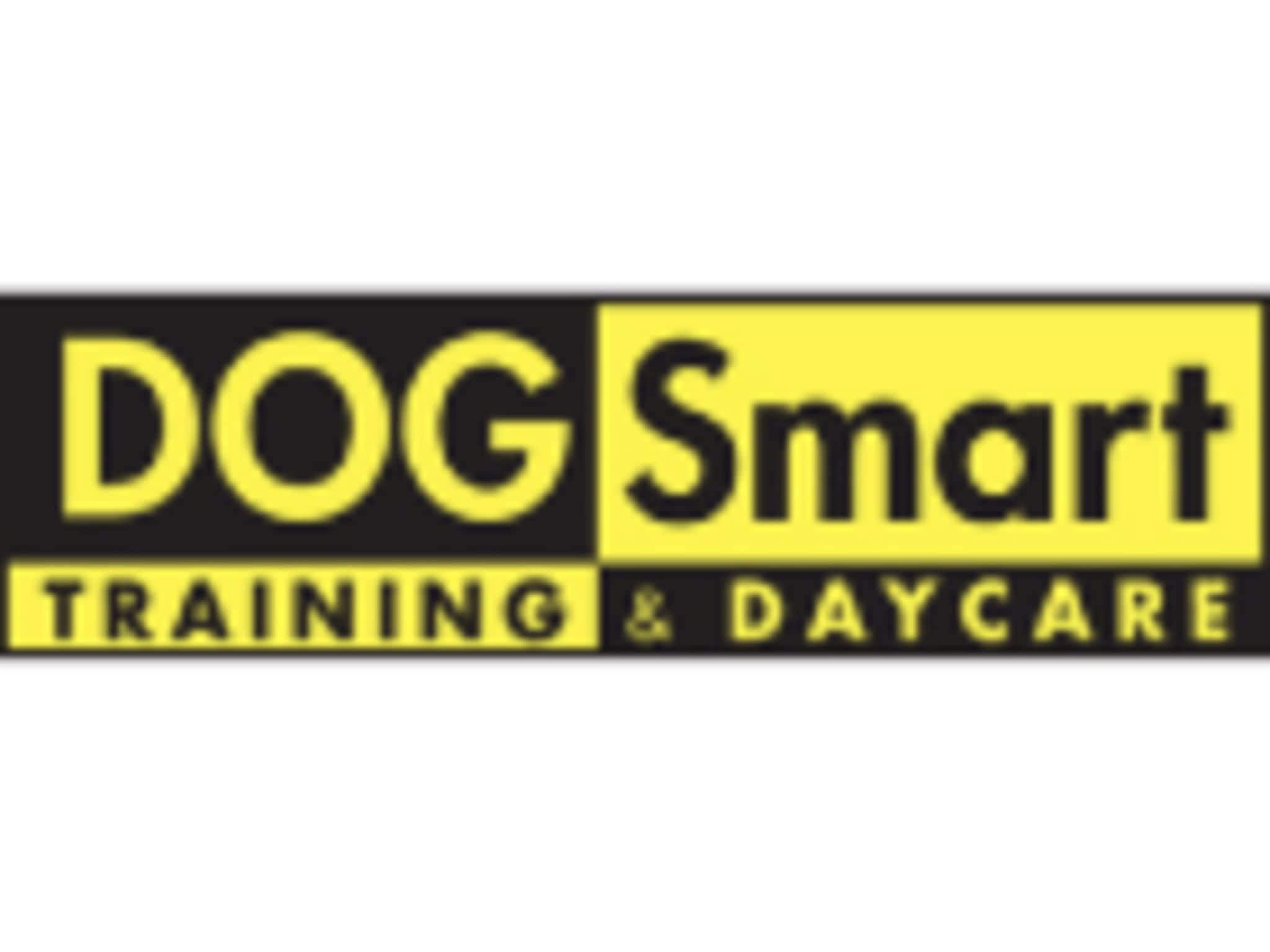 photo DOGSmart Training & Daycare