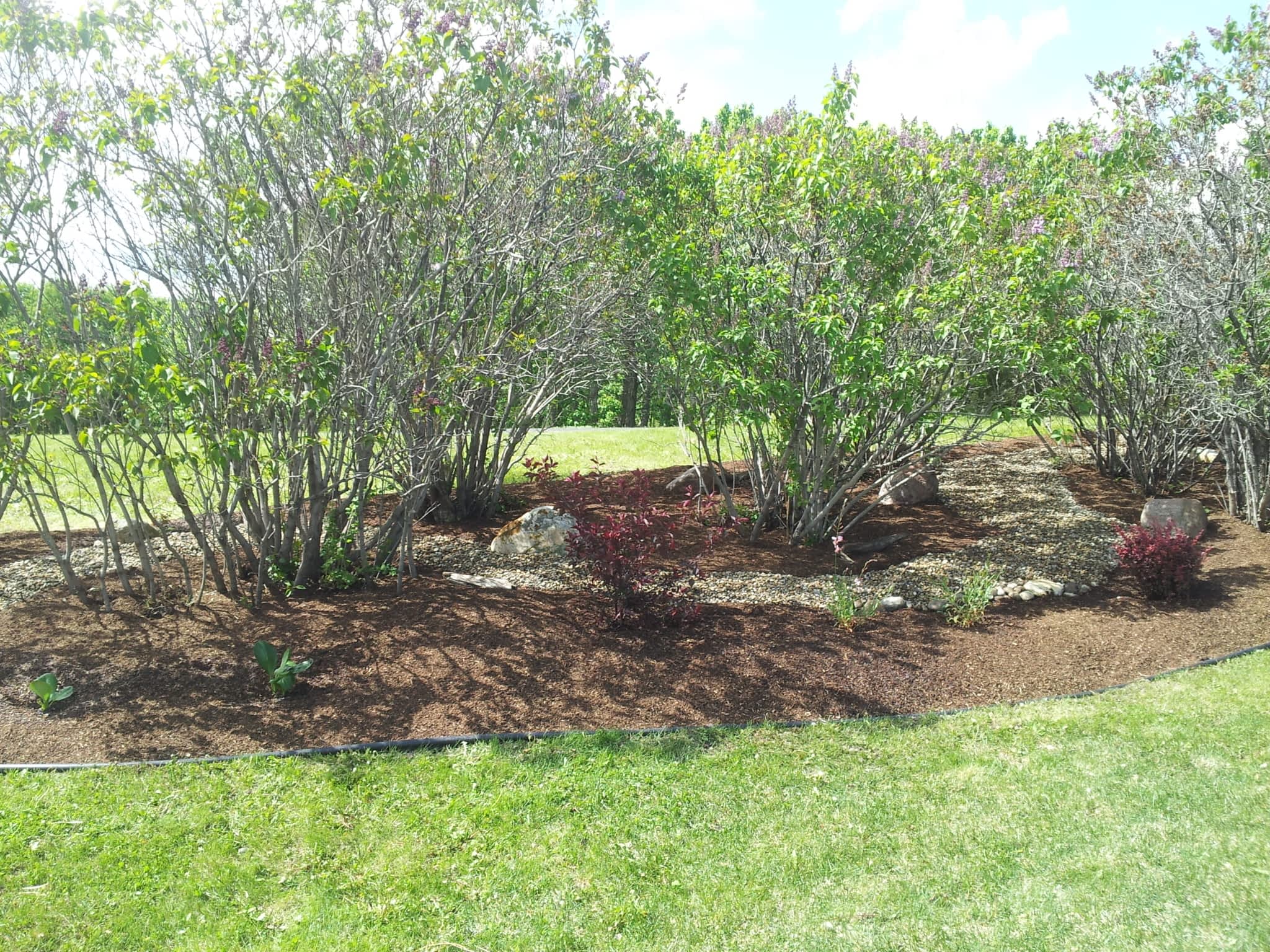 photo Mowhawks Property Services