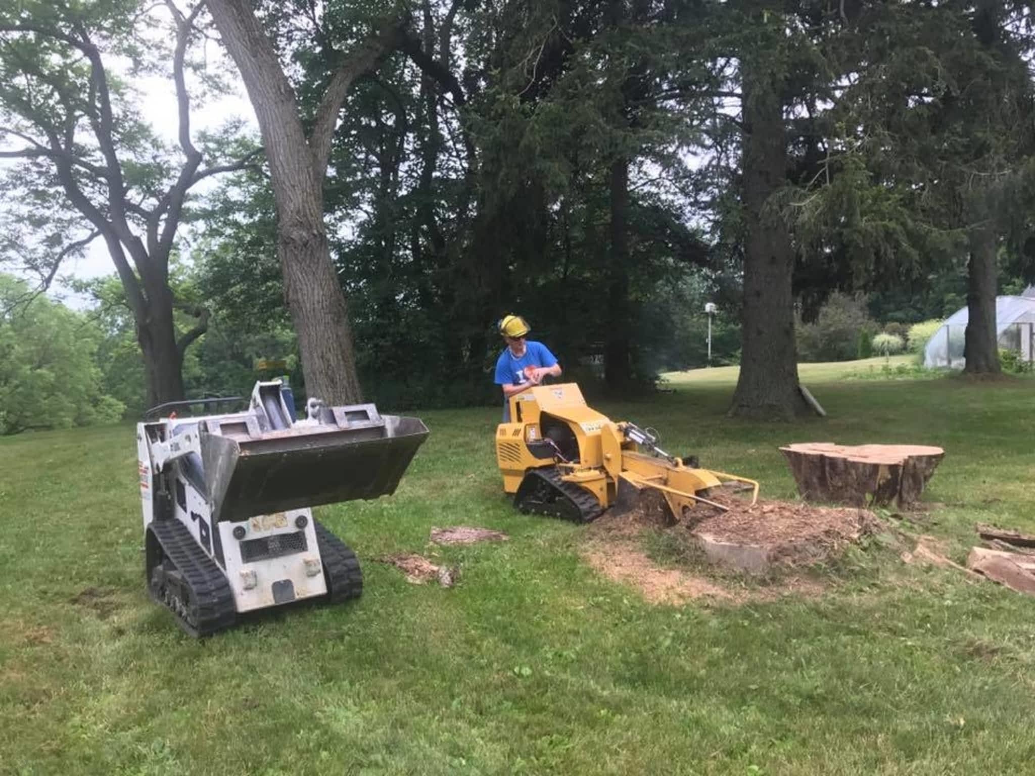 photo Redneck Tree Removal
