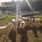 La Ménagerie d'Annie - Livestock Breeders