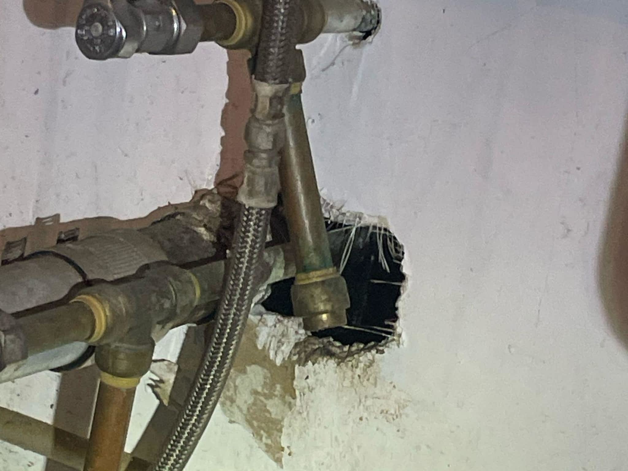 photo Phantom Pest Control Maple Ridge