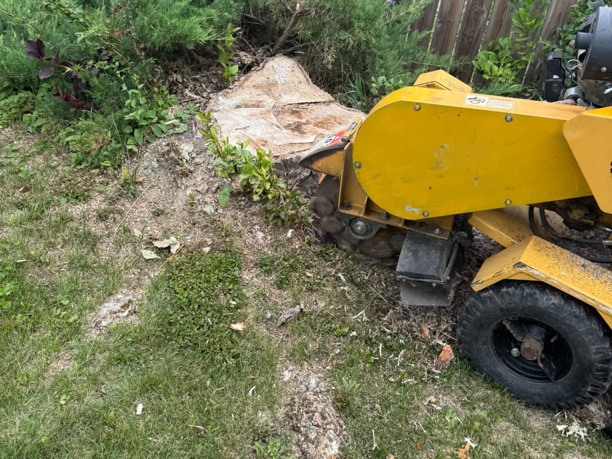 photo KAOS Inc - Tree Services