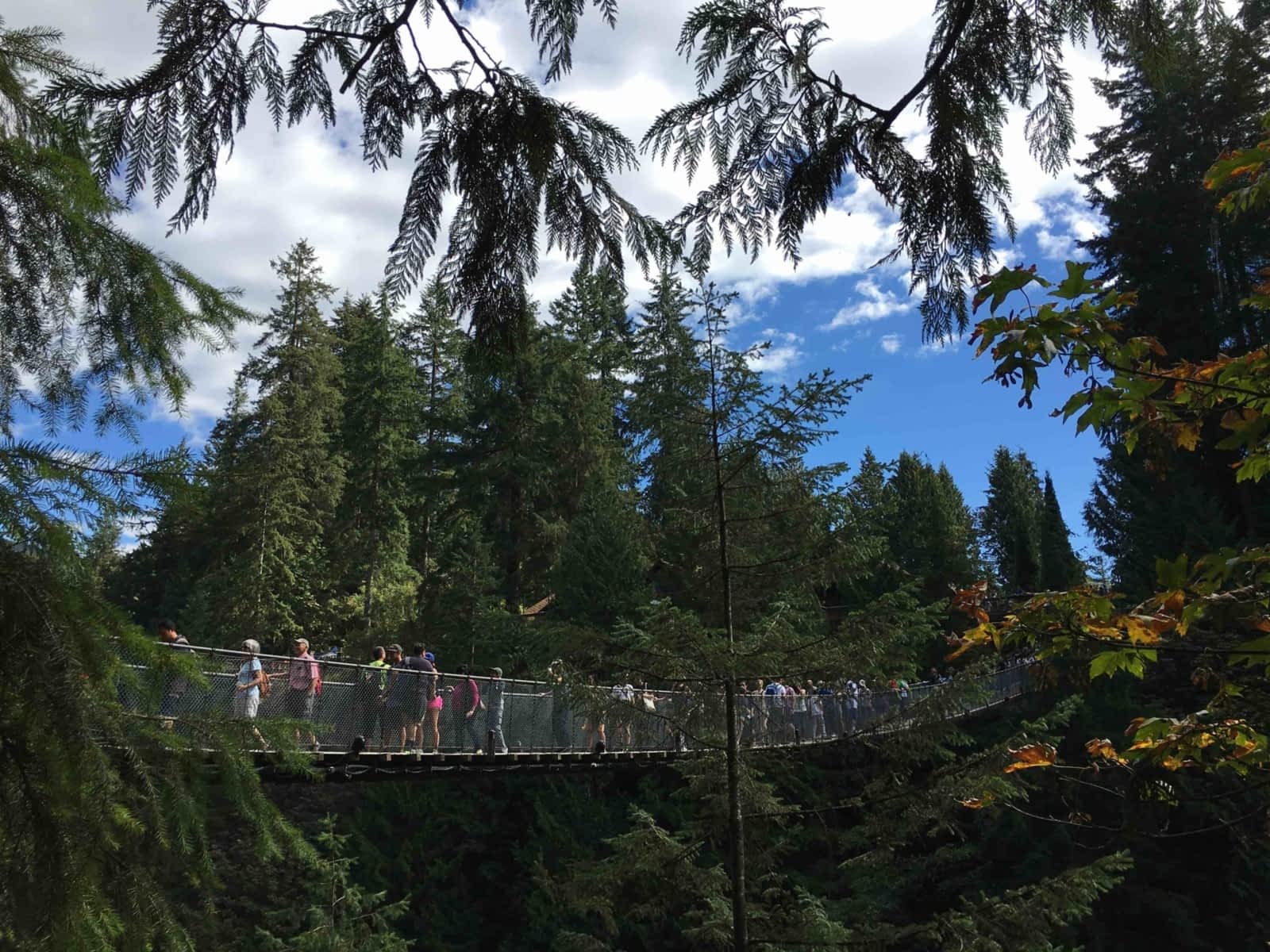 Capilano Suspension Bridge Park Opening Hours 3735 Capilano Rd, North Vancouver, BC