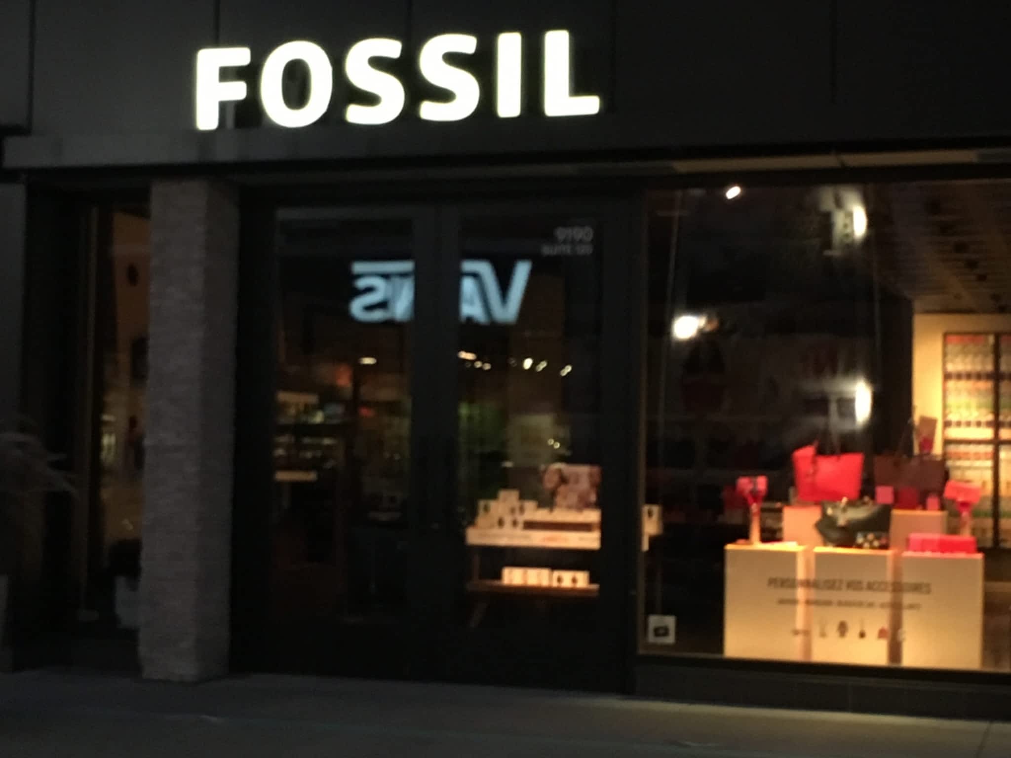 photo Fossil